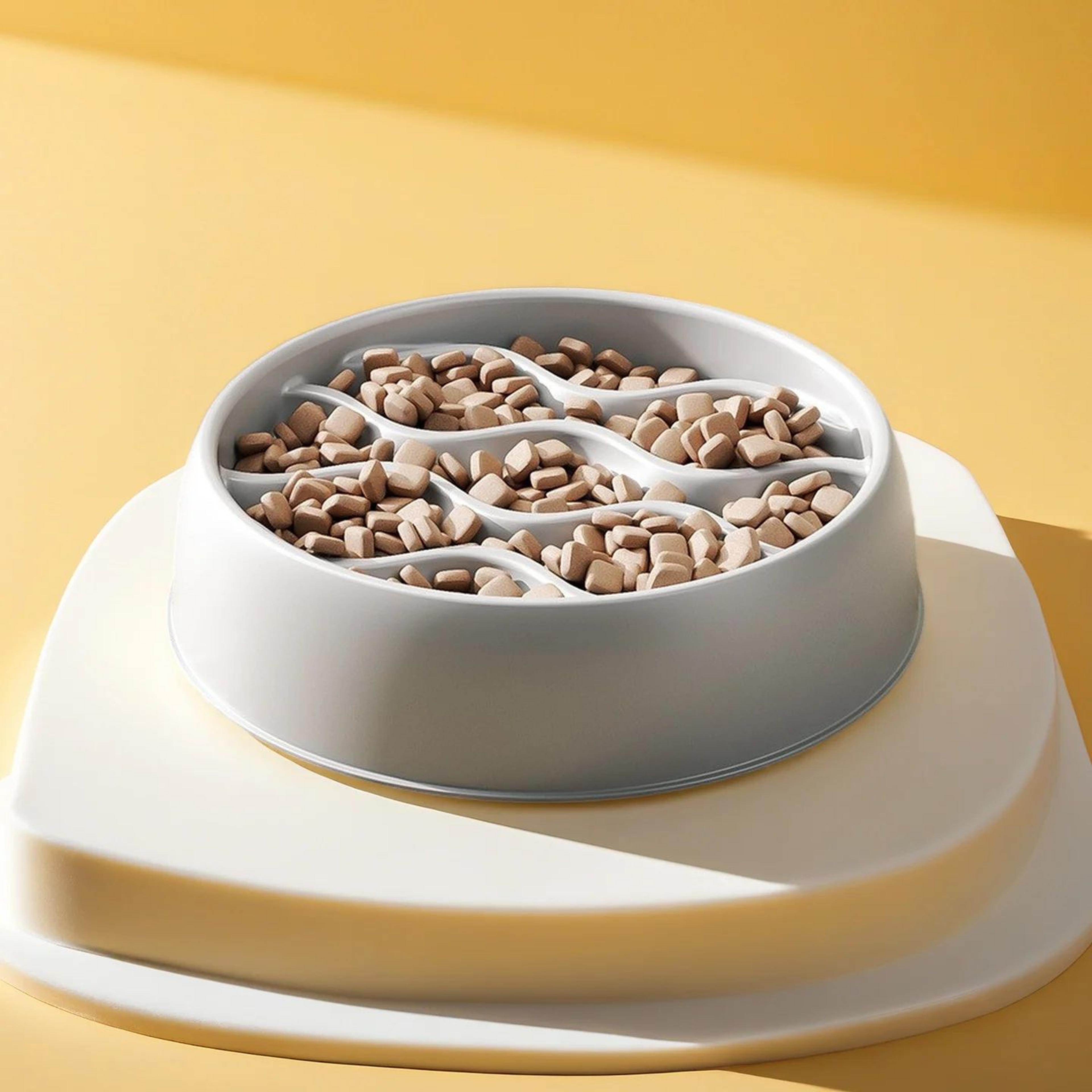 ComfortPaws Slow Feeder Cat Bowl Set 2