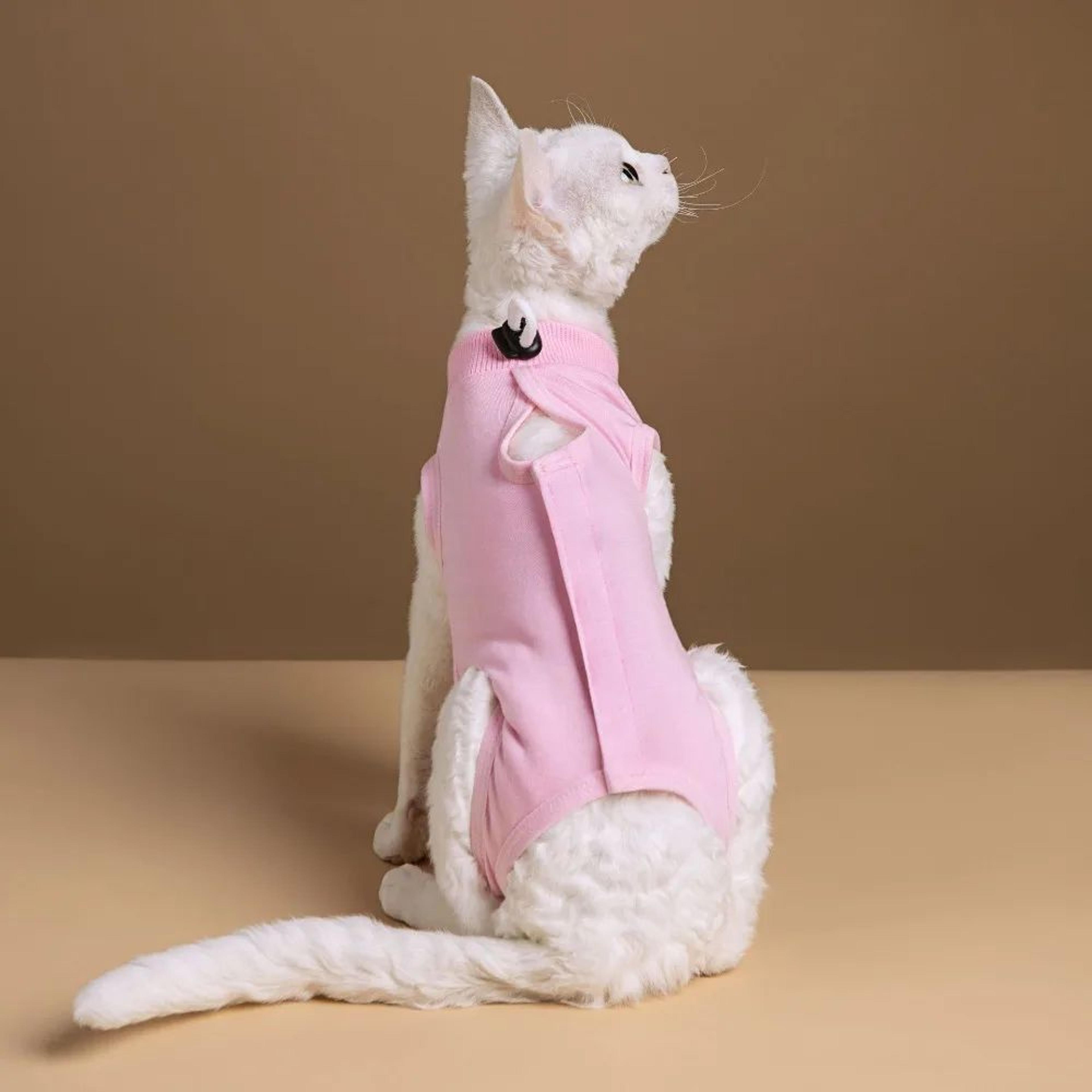 healcomfort cat recovery jumpsuit