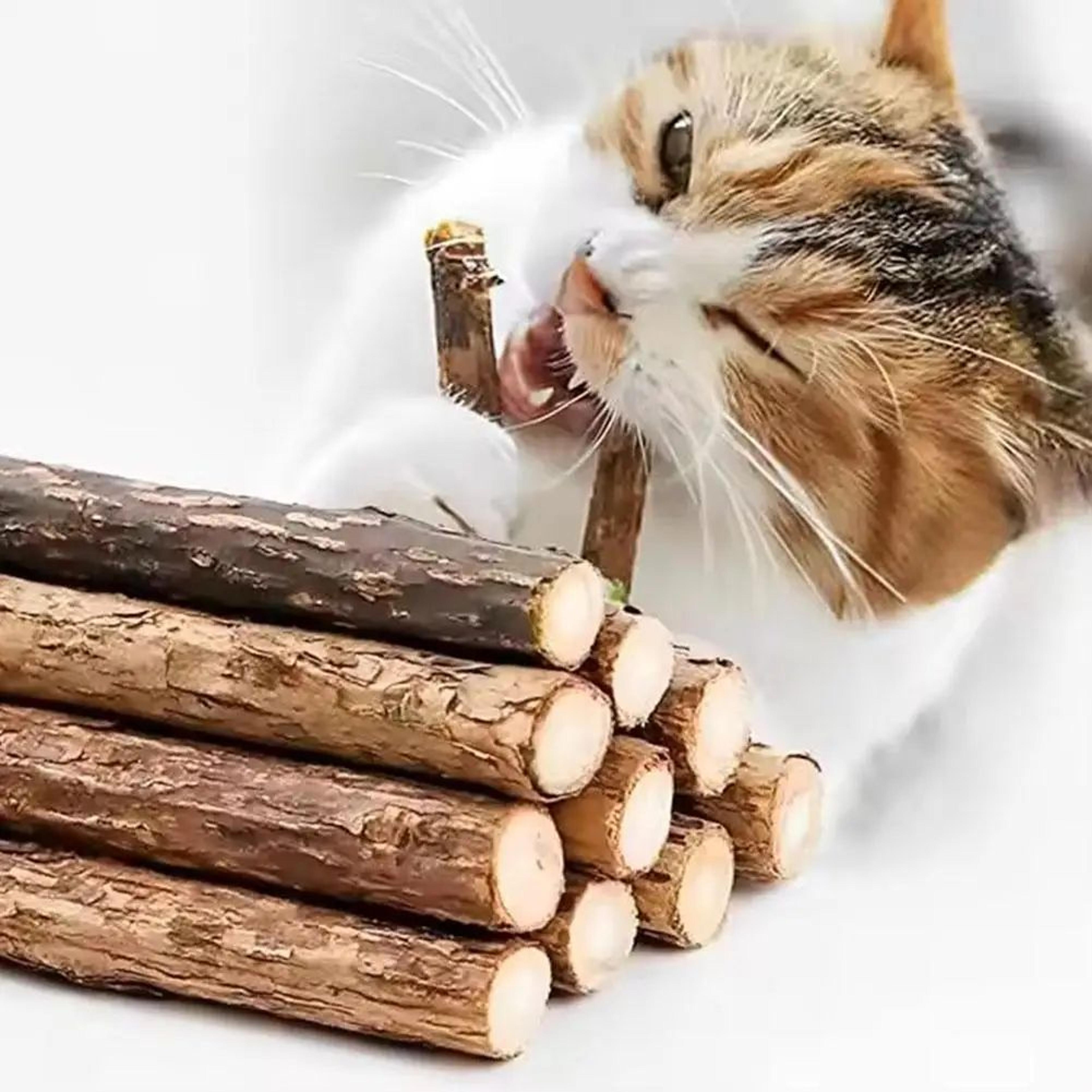 NatureChew Catnip Dental Chew Sticks 0
