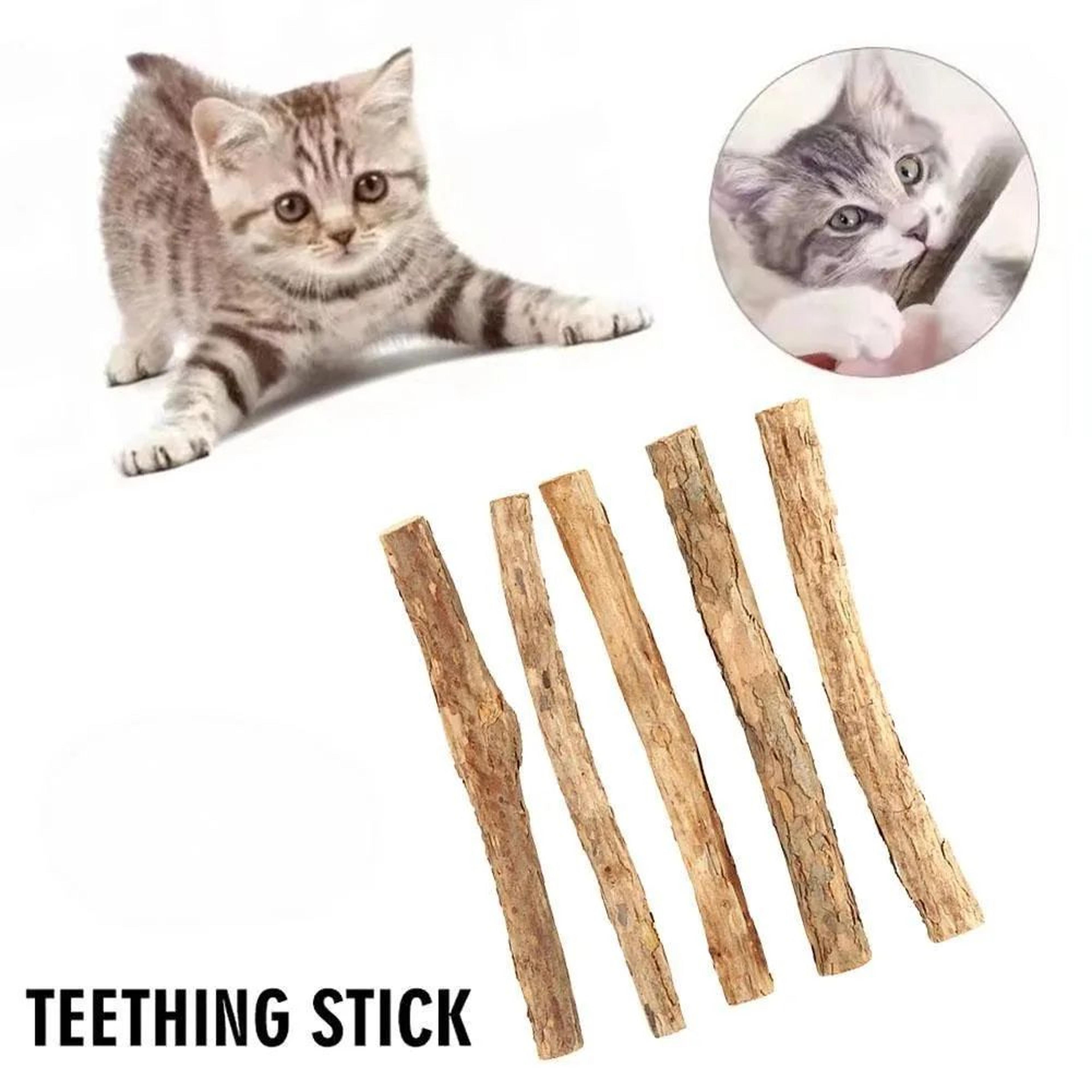 NatureChew Catnip Dental Chew Sticks 5