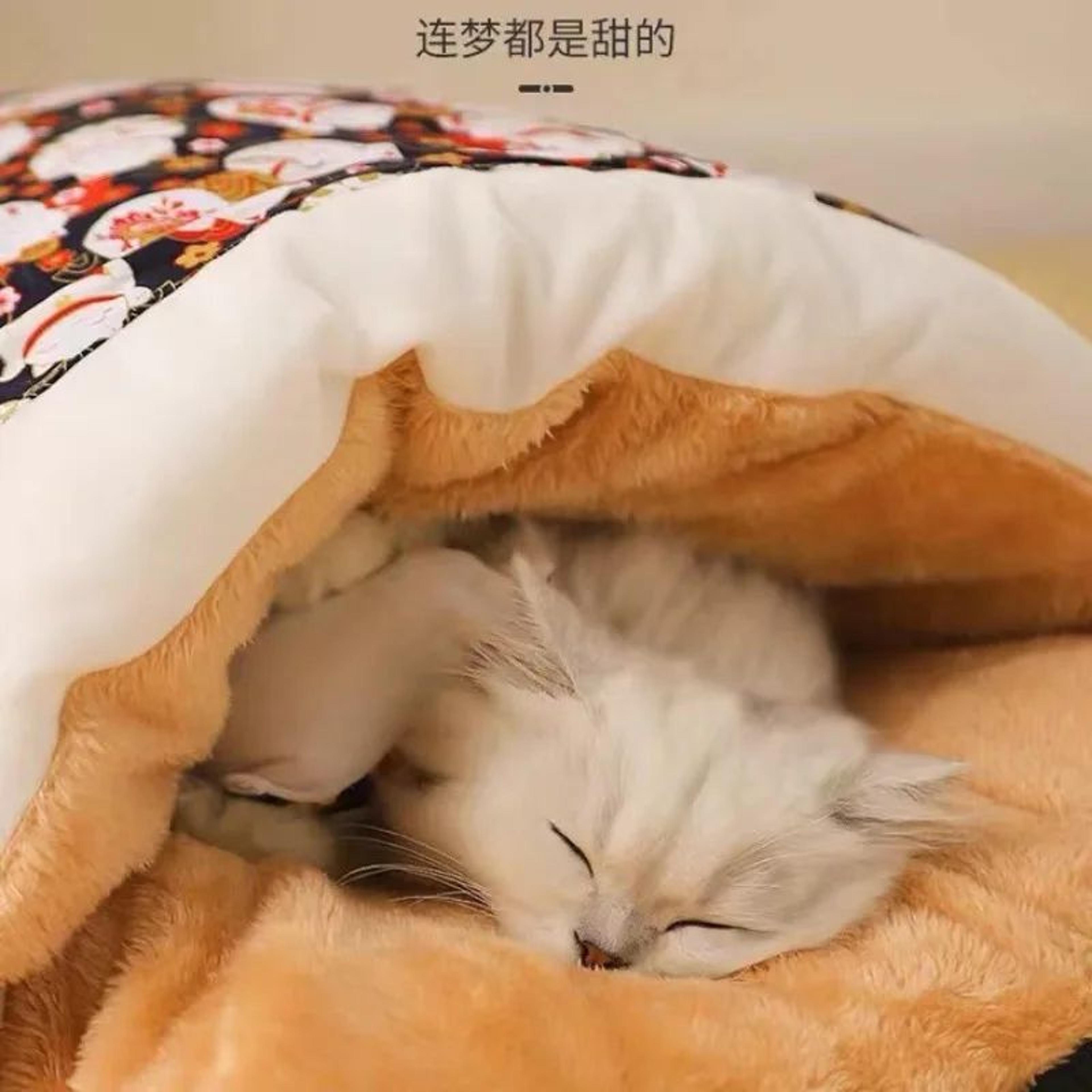 CozyCove Removable Cat Cave Bed House 4