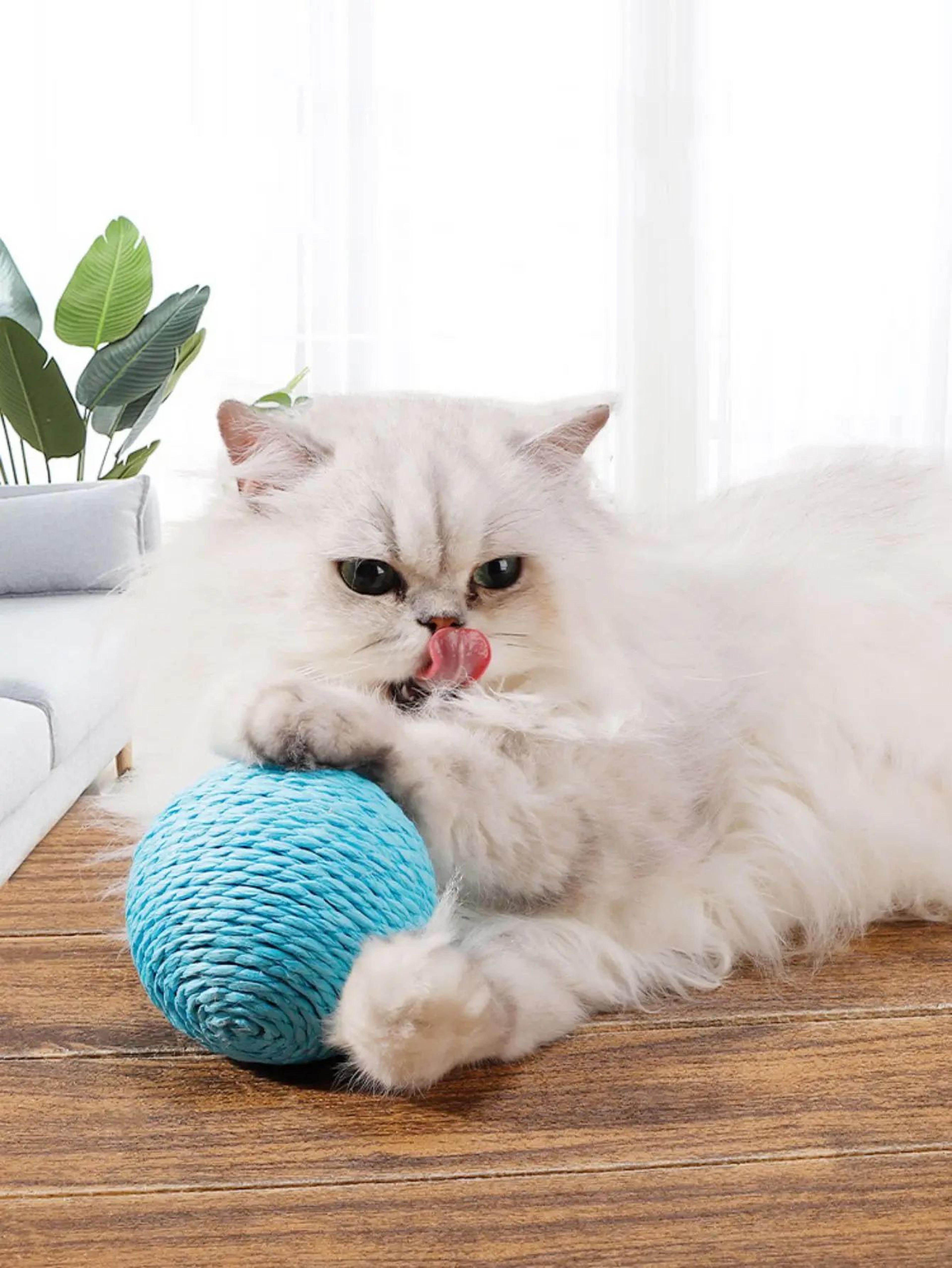 Interactive Sisal Cat Scratching Ball Toy For Kittens 2