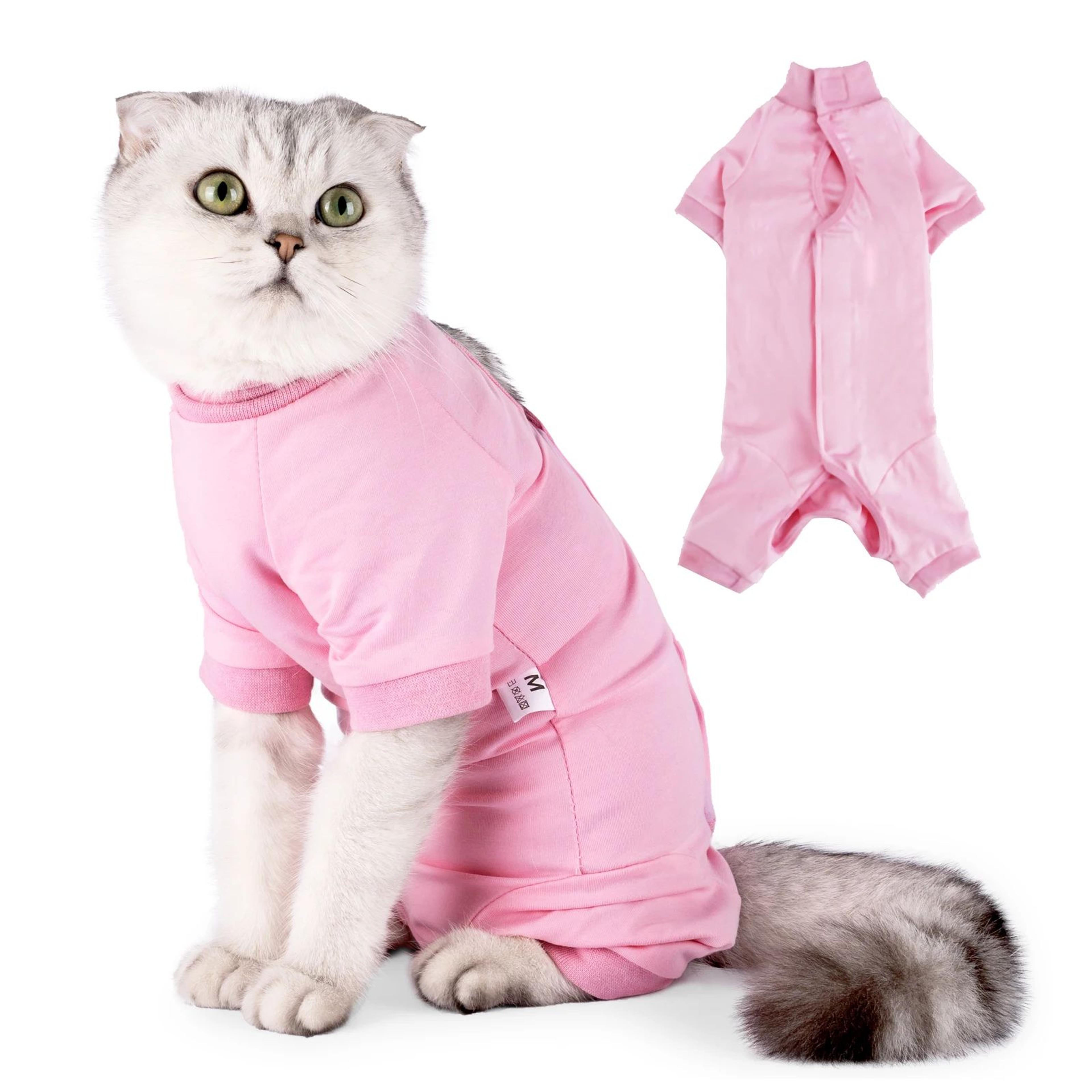 cat surgical recovery suit for post surgery healing
