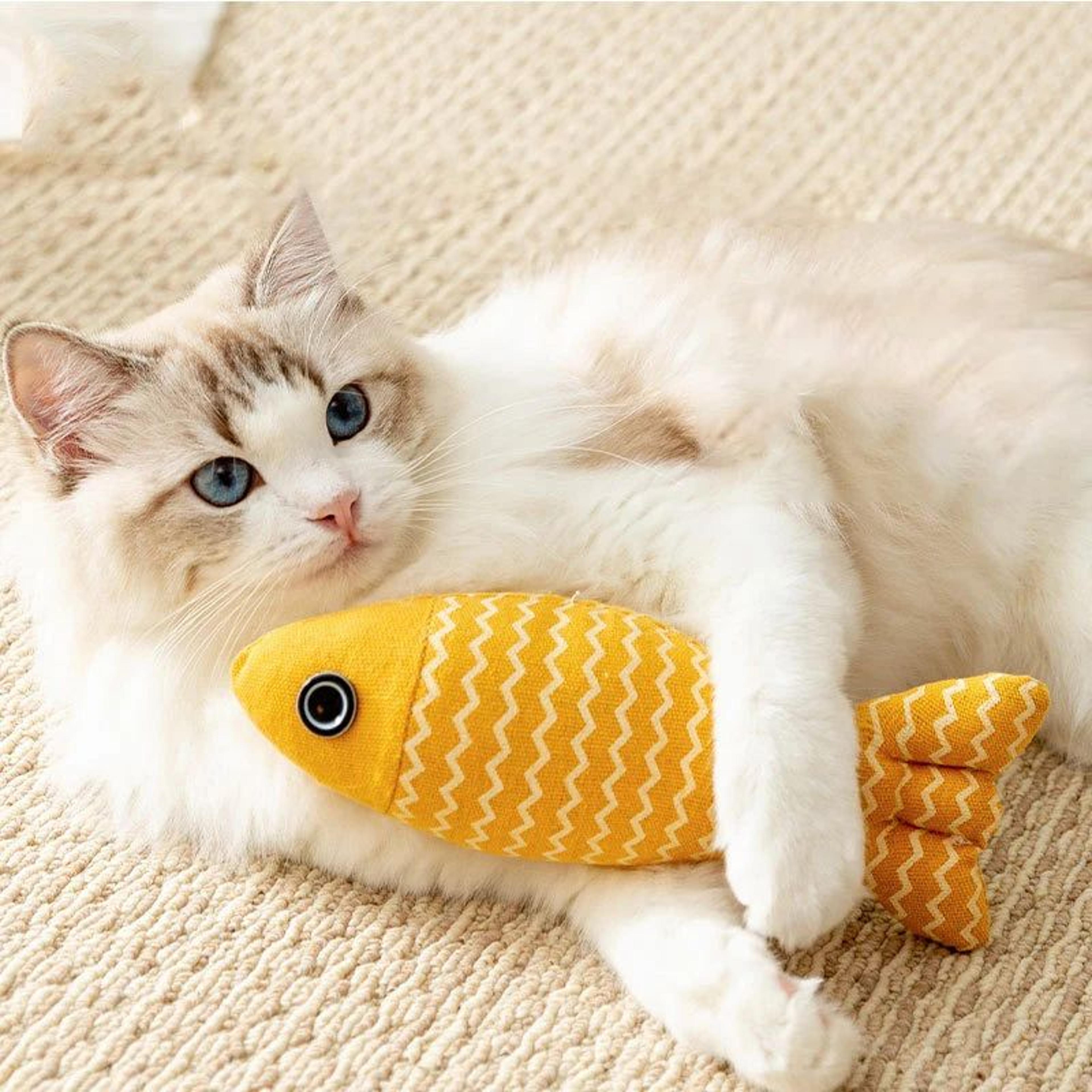 finkick interactive fish cat kicker toy for indoor cats