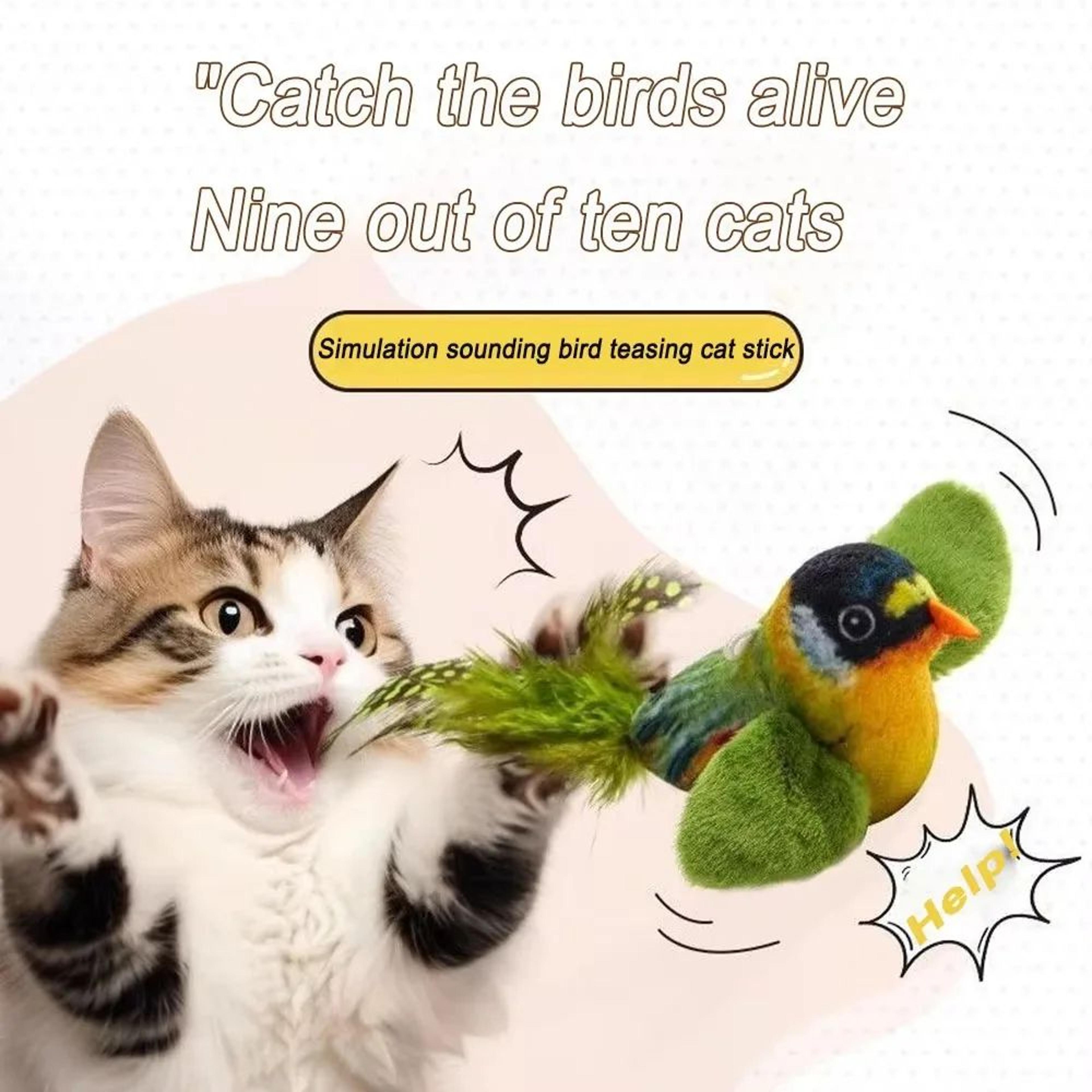 skytweet interactive bird cat toy with catnip and sound