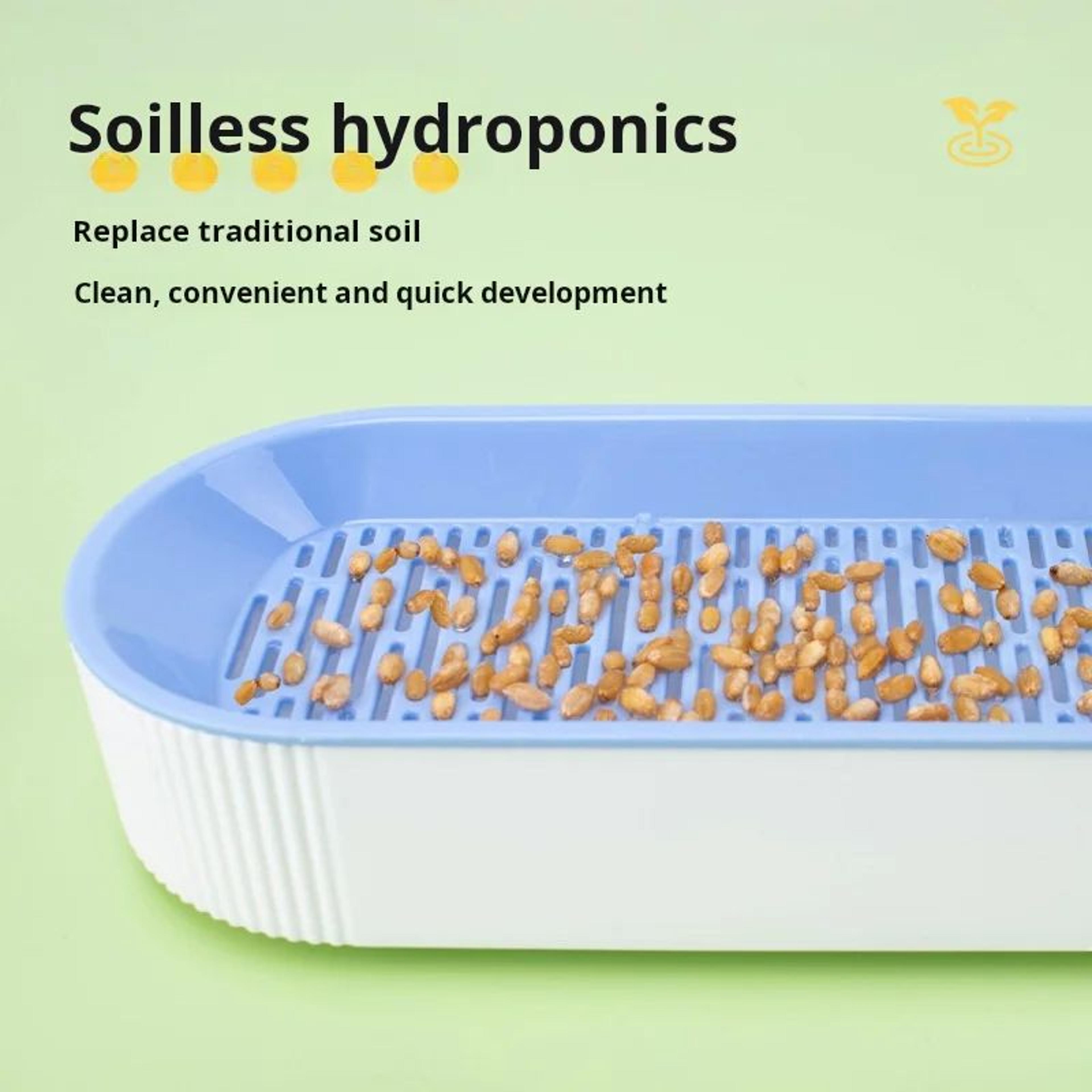 GreenSprout Hydroponic Cat Grass Growing Kit 4