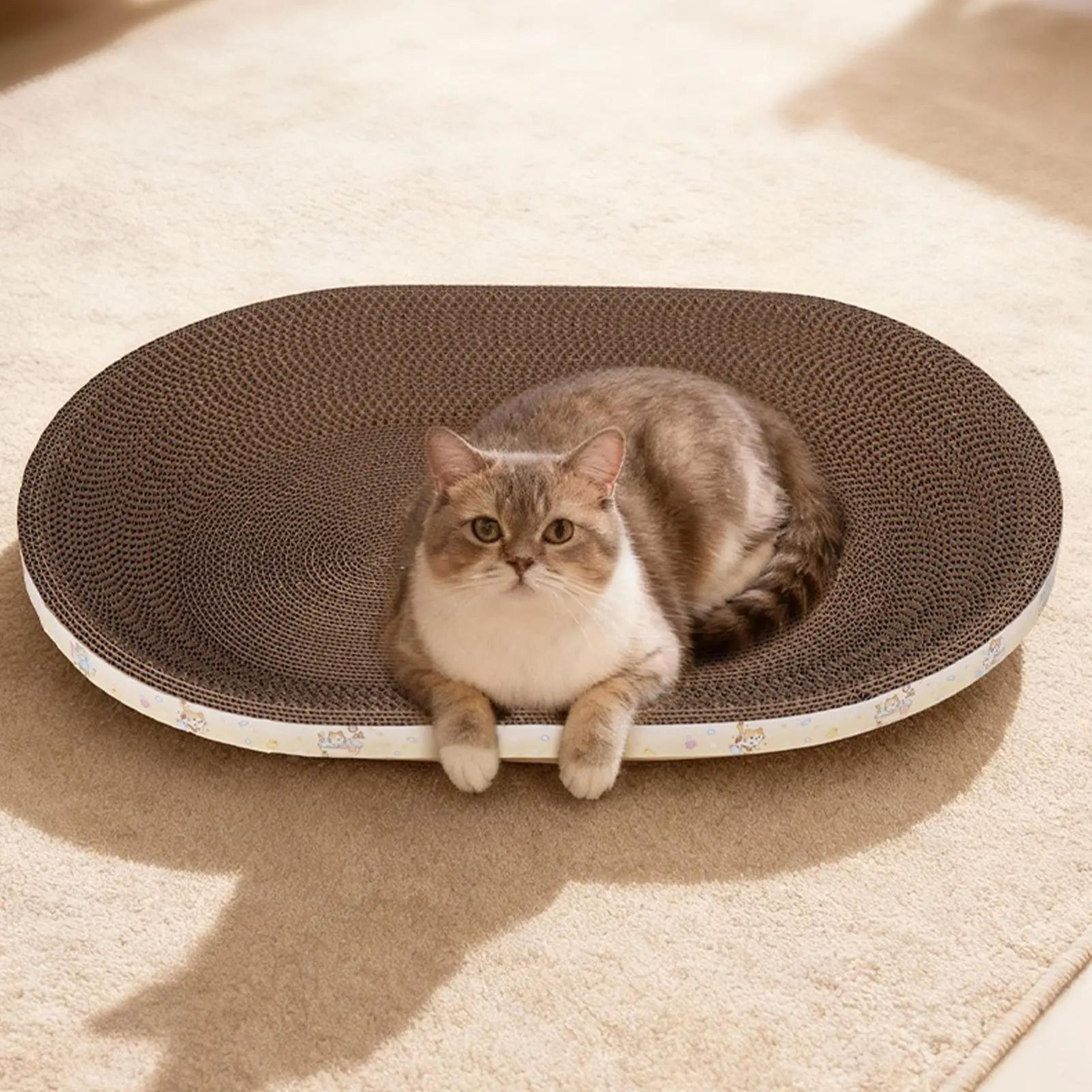 scratchlounge corrugated cat scratcher bed