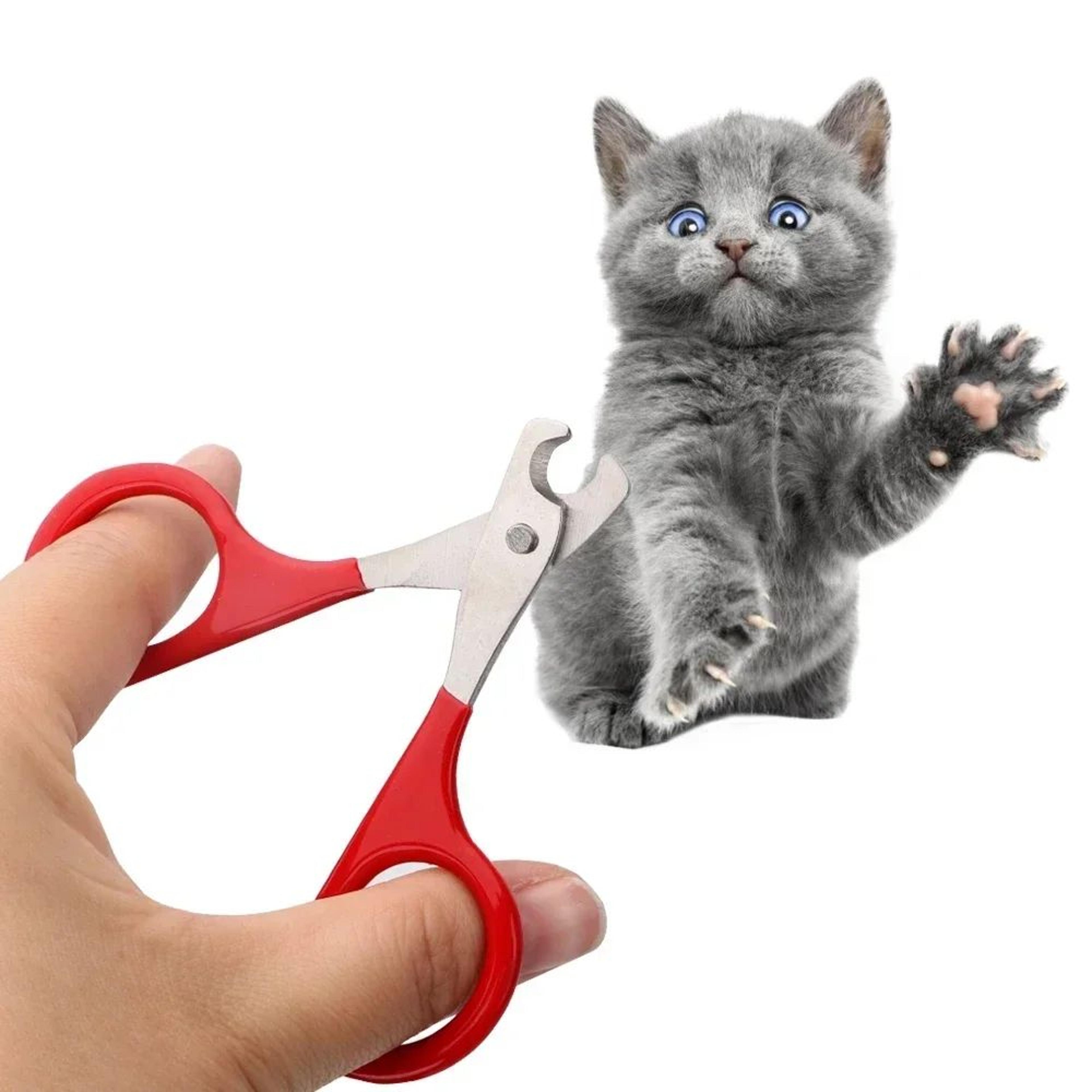 professional pet nail clippers for cats and small dogs
