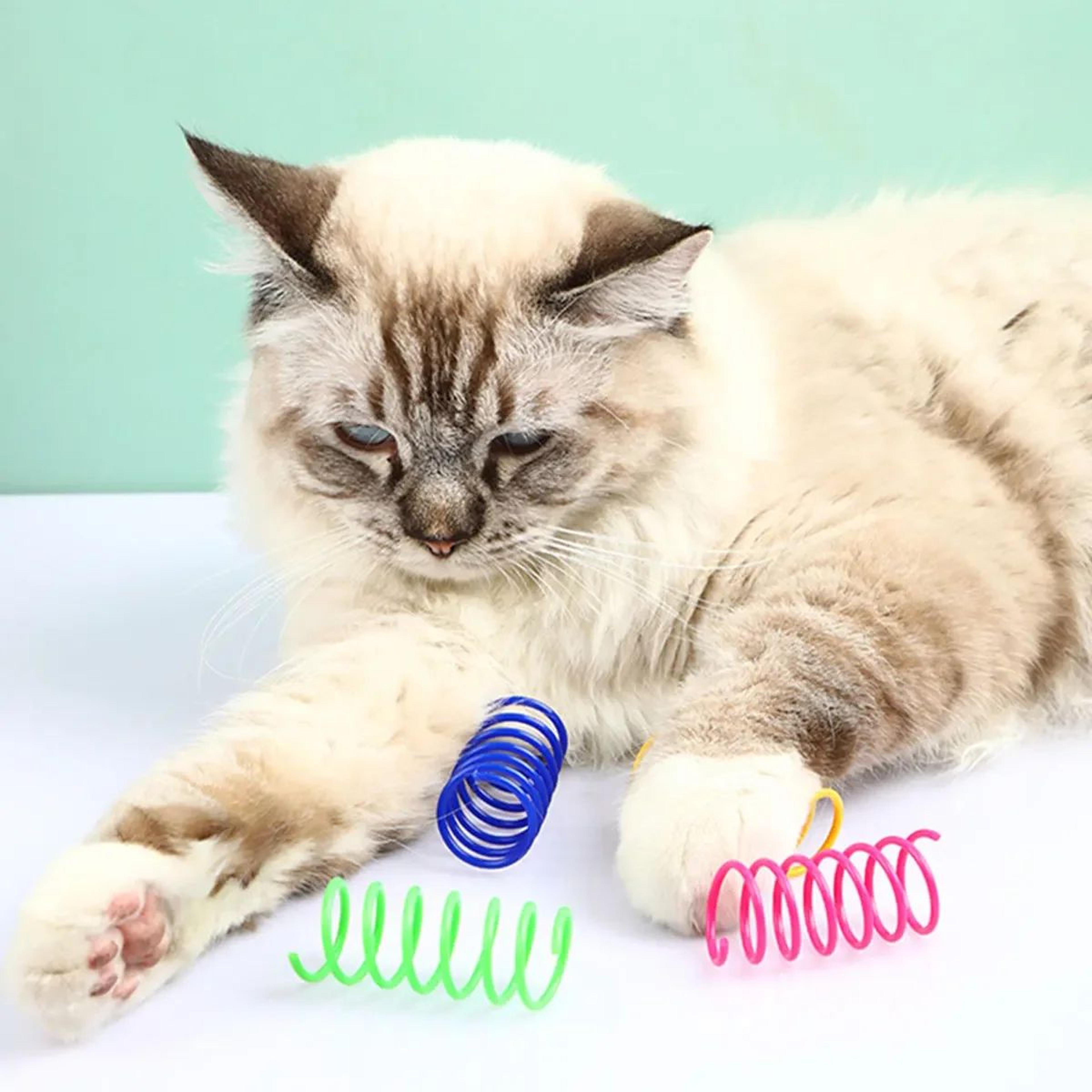 Colorful Cat Spring Toy Set 3