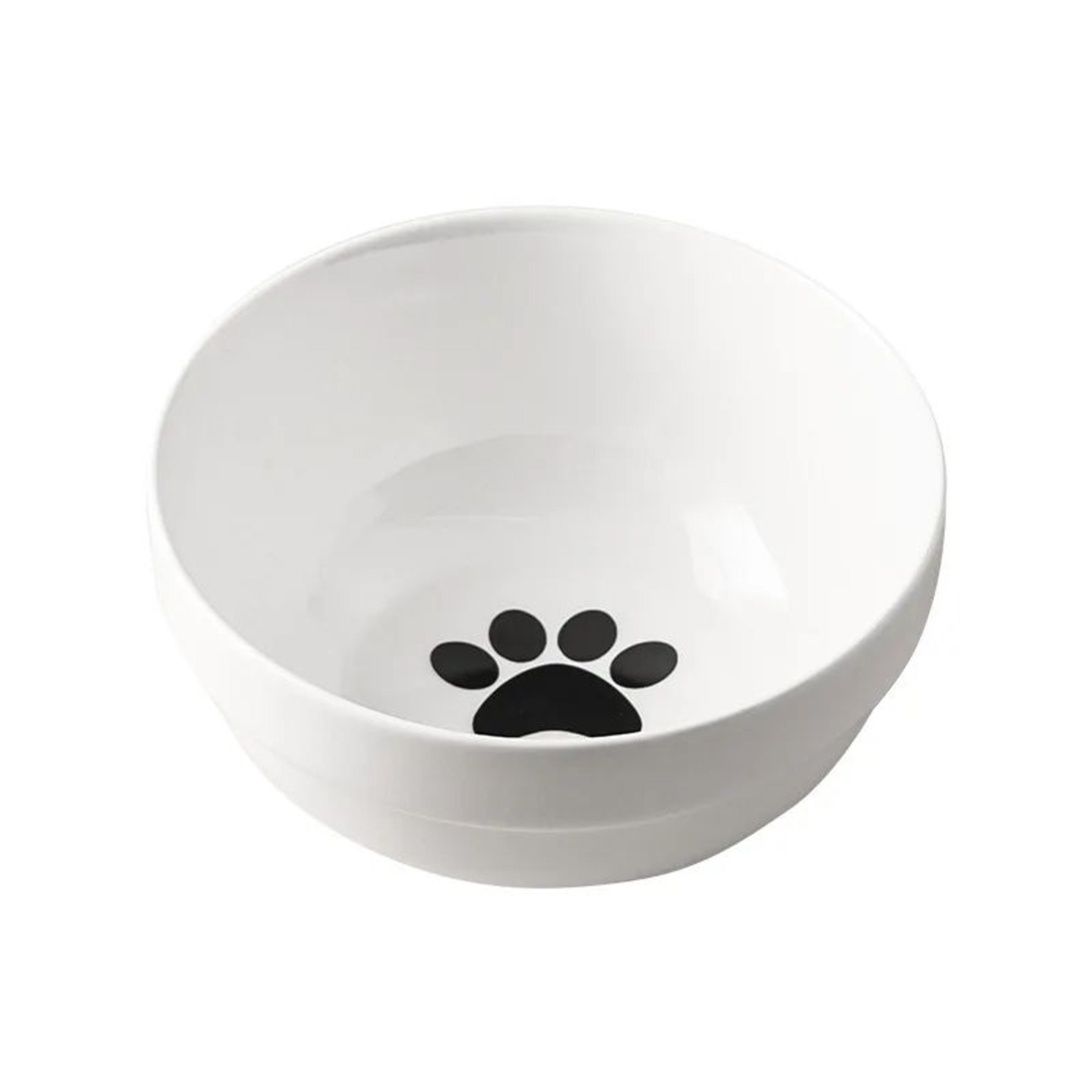 Elevated Ceramic Double Pet Bowl 9