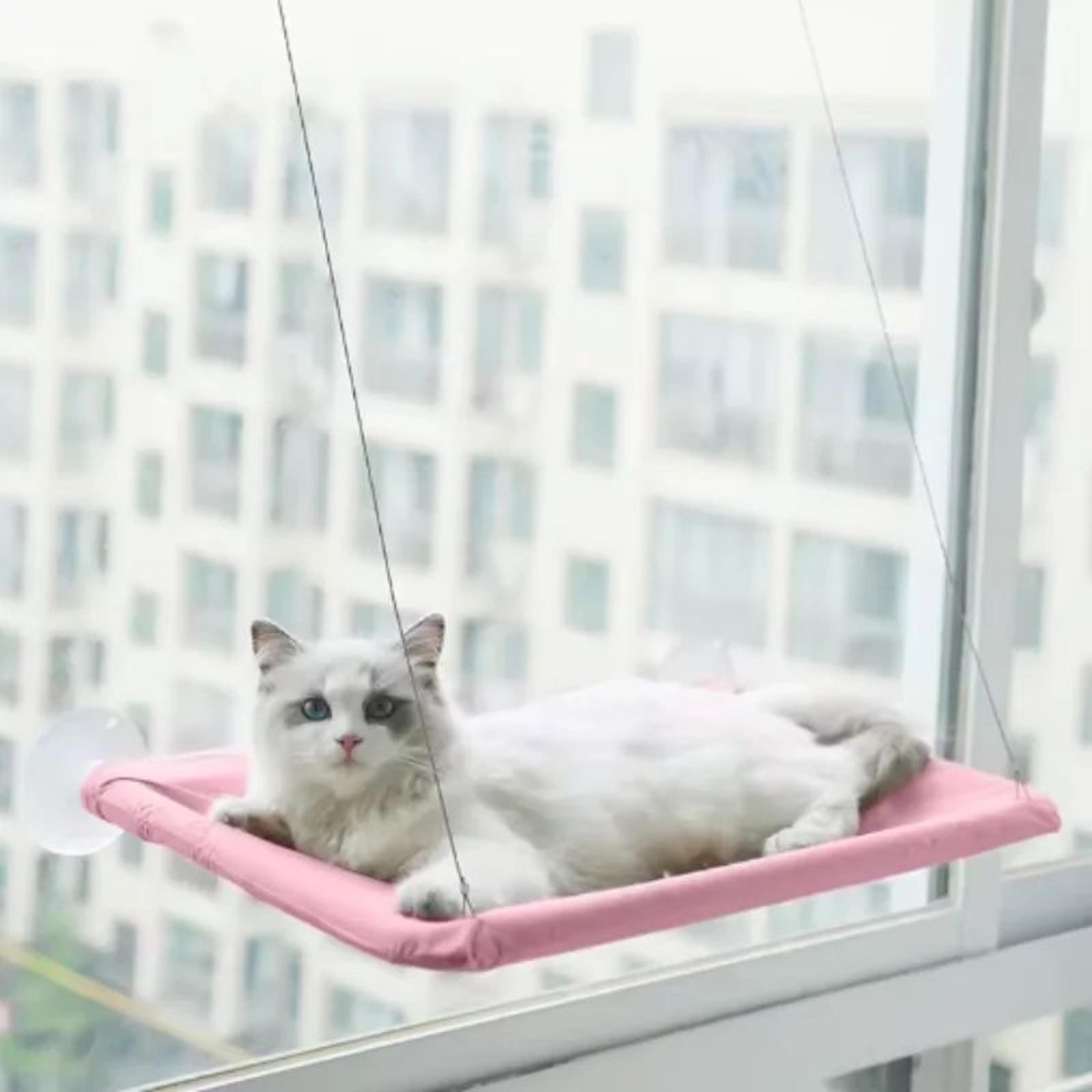 Sunny Window Cat Hammock Bed With Strong Suction Support 10