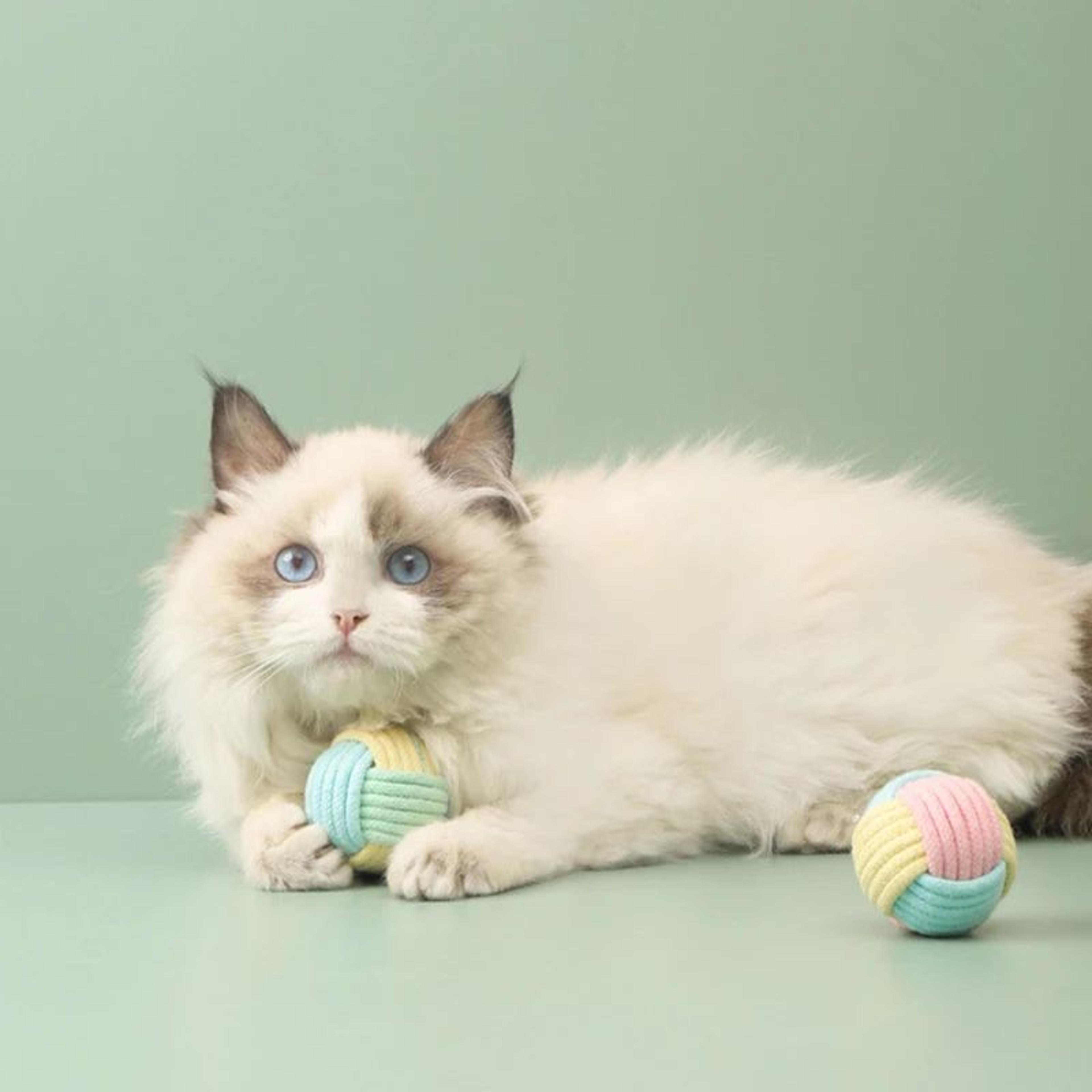 PlayKnot Interactive Cat Rope Toy Ball 3