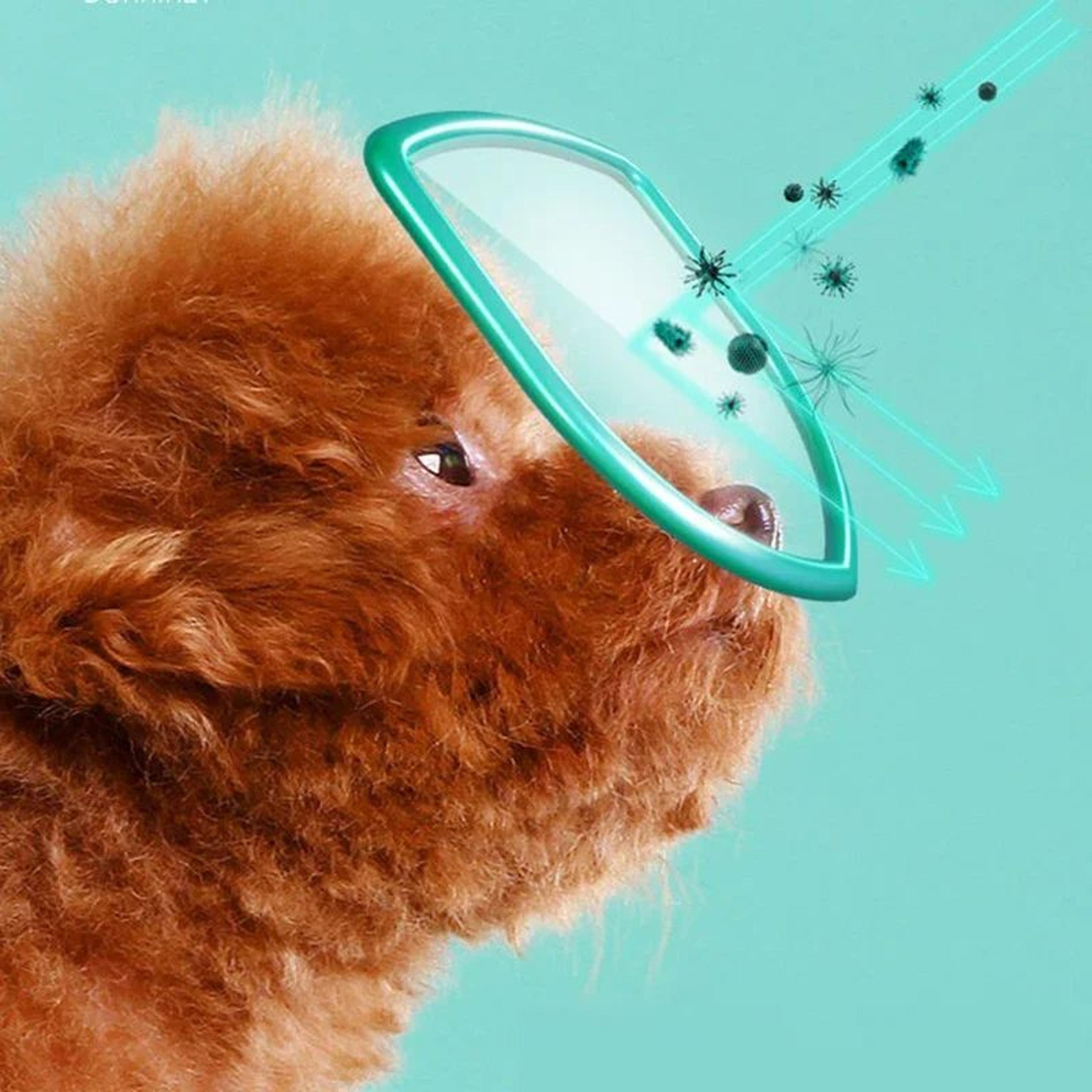 ClearEyes Pet Eye Wipes 2