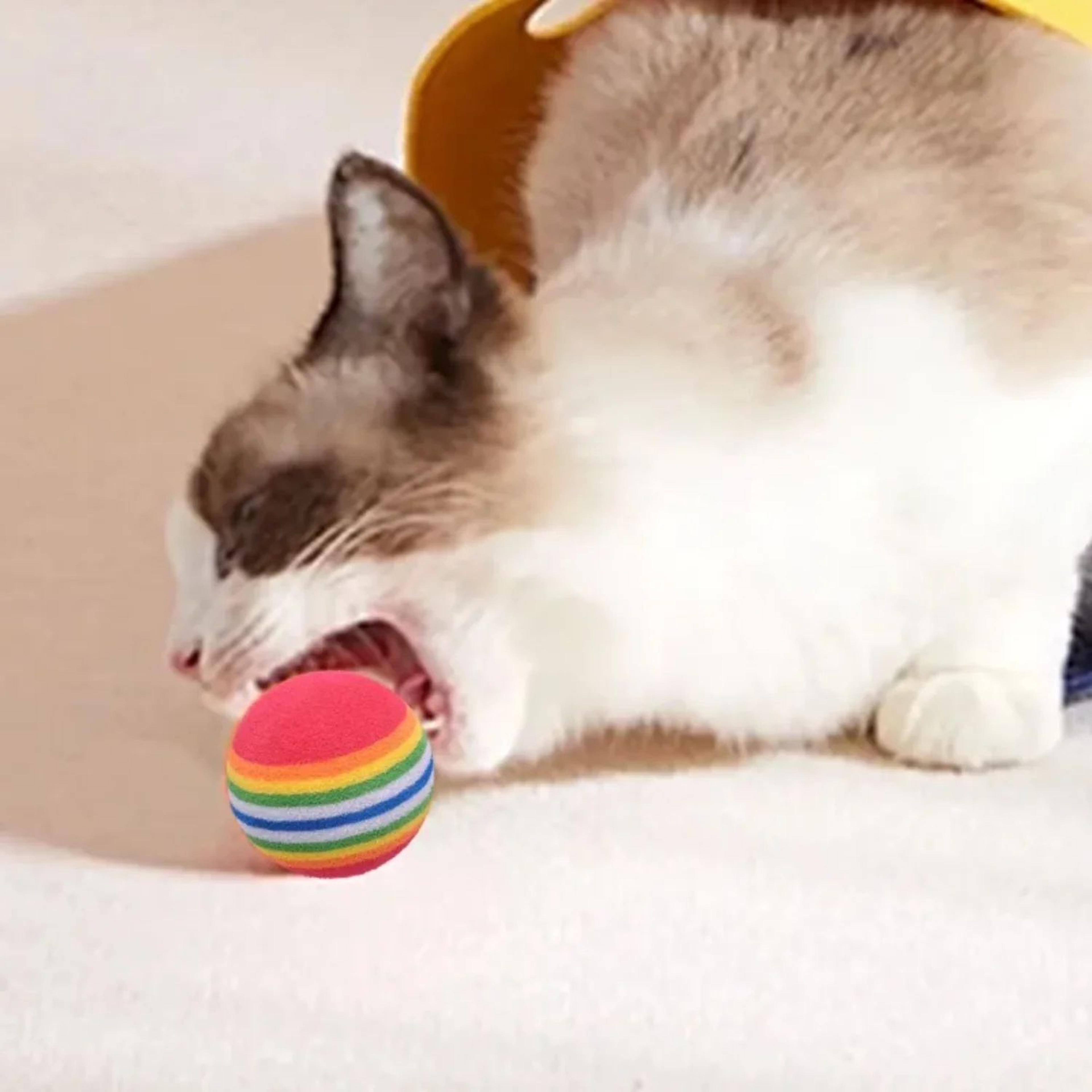 Rainbow Bounce Pet Balls 1
