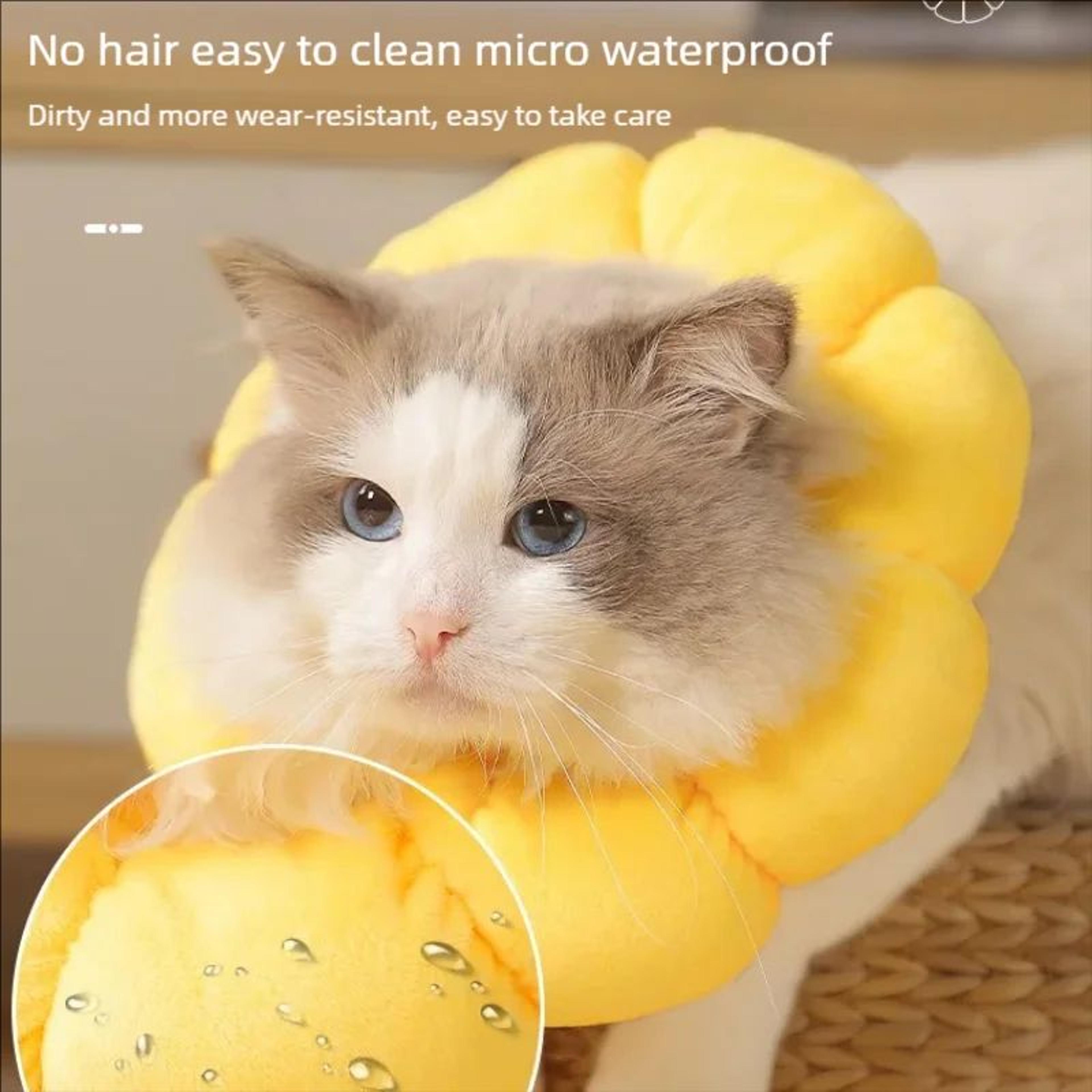 Sunflower Recovery Collar 3
