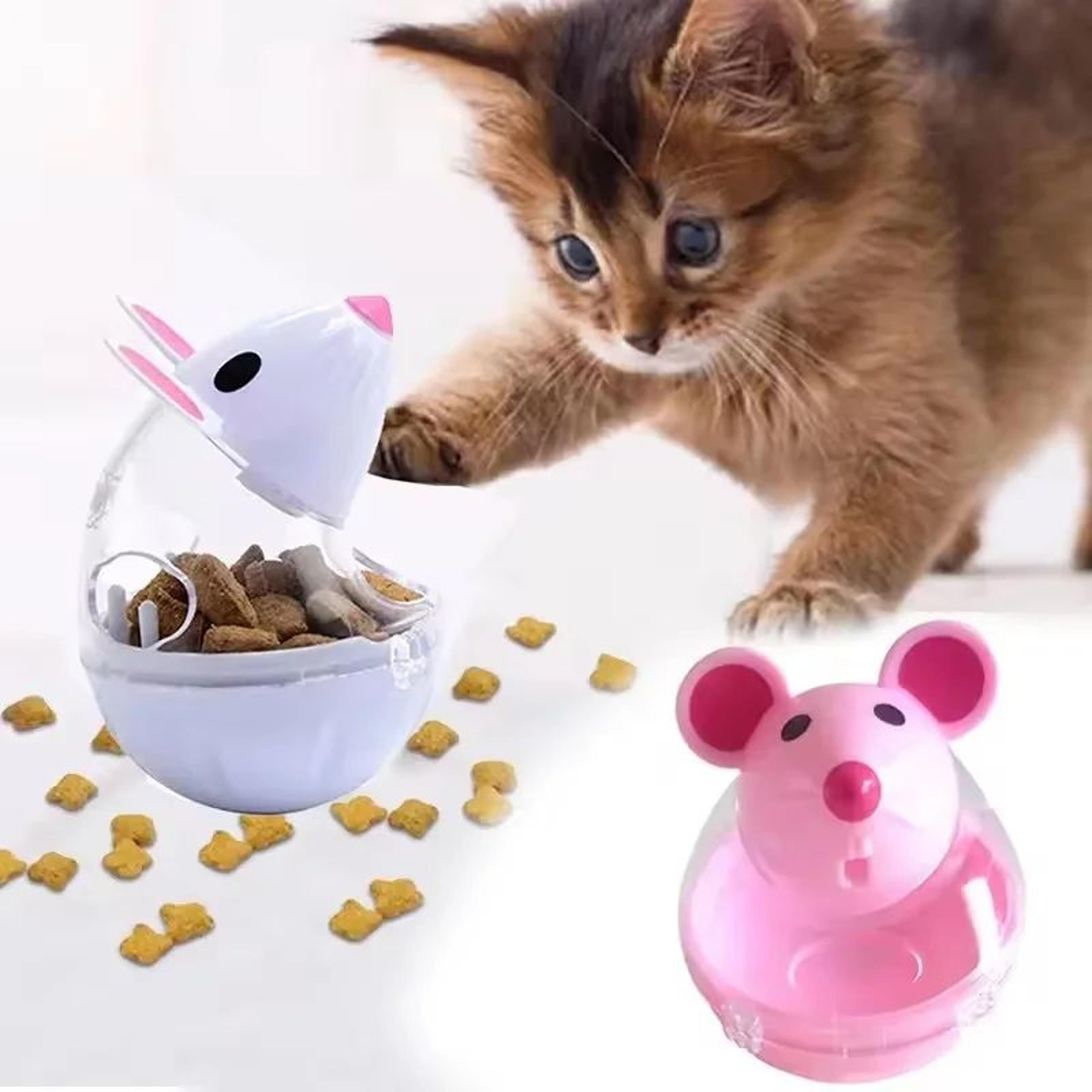 mouse hunt puzzle toy