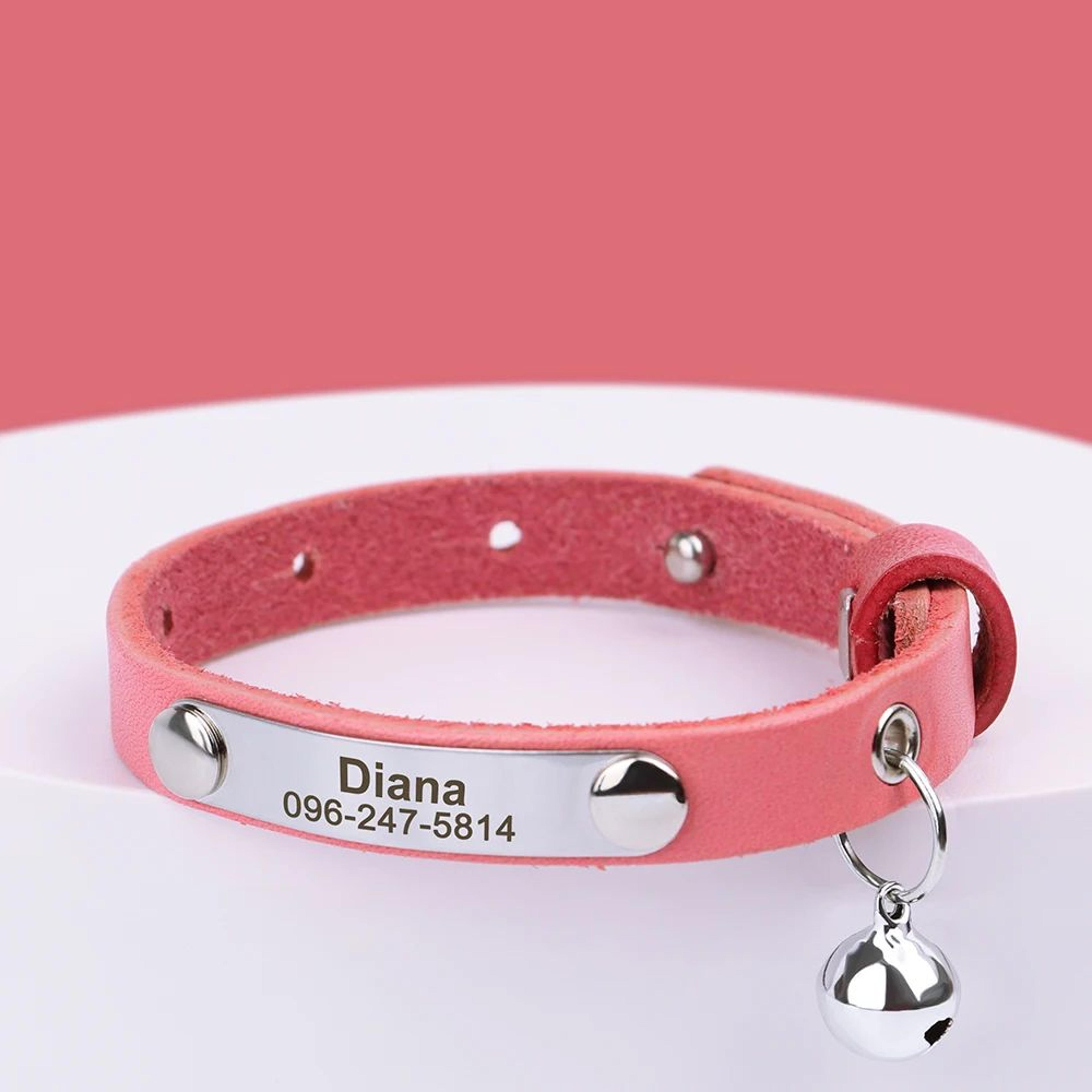EngraveSafe Cat Collar 10