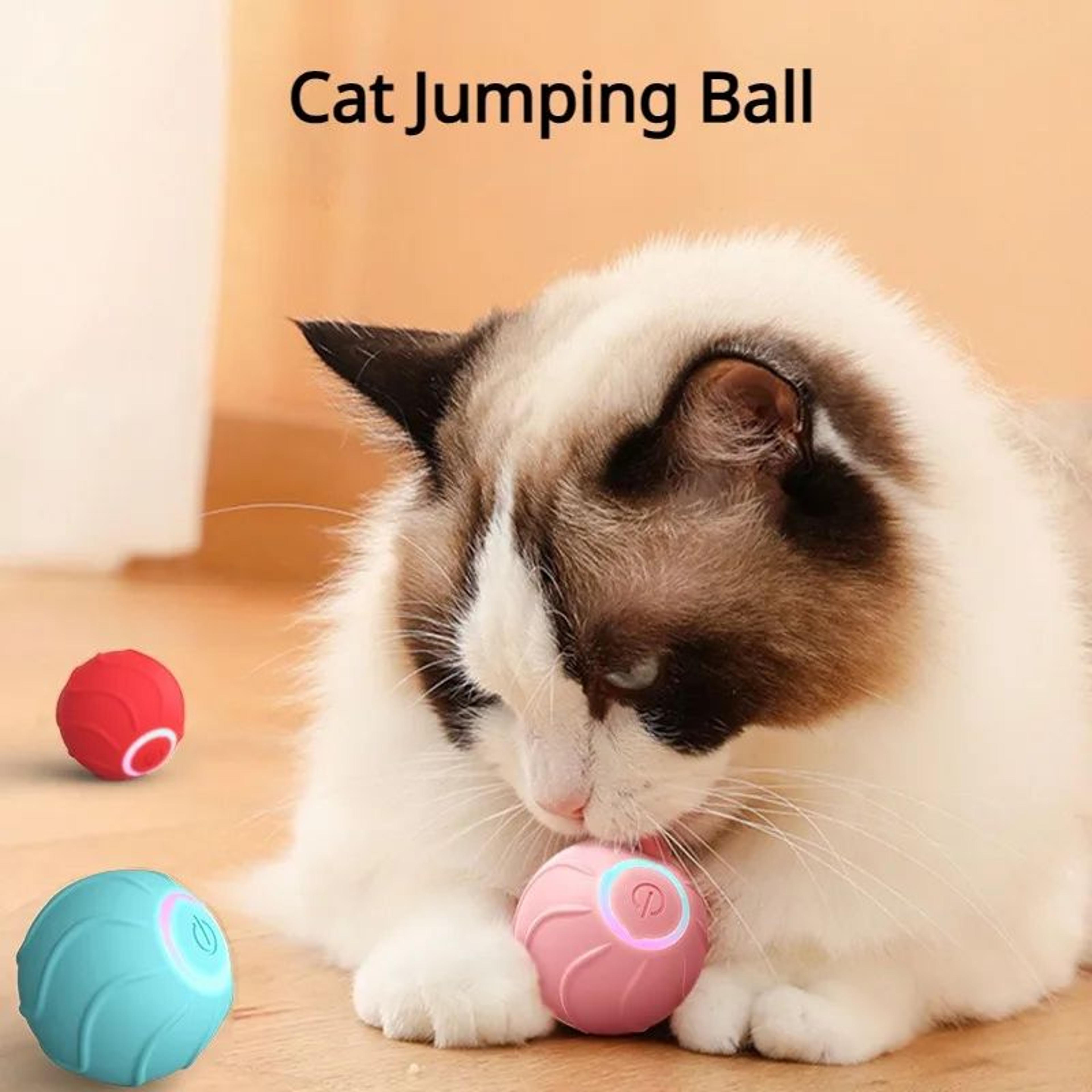 BounceBuddy Smart Cat Ball 4
