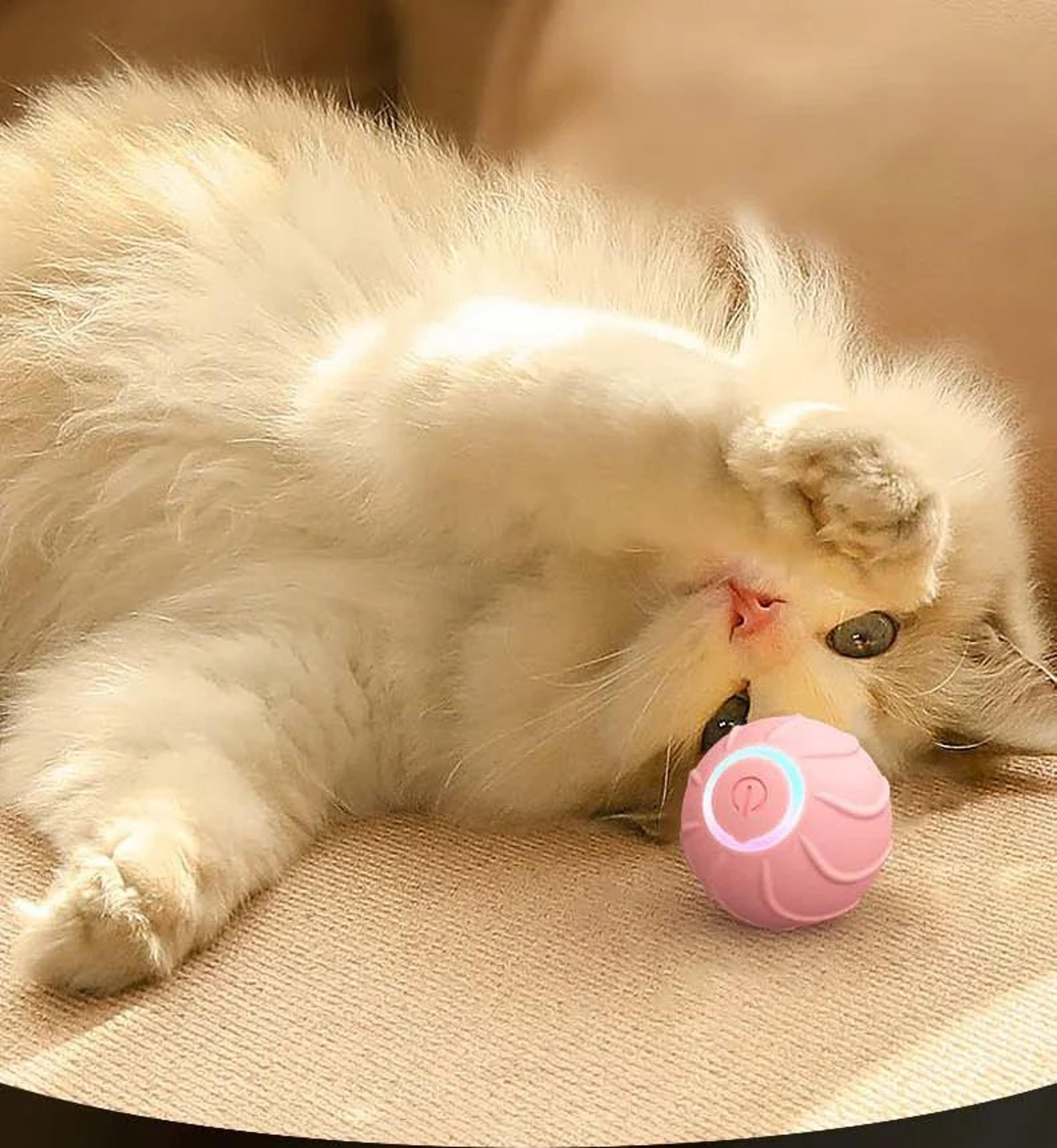 BounceBuddy Smart Cat Ball 5