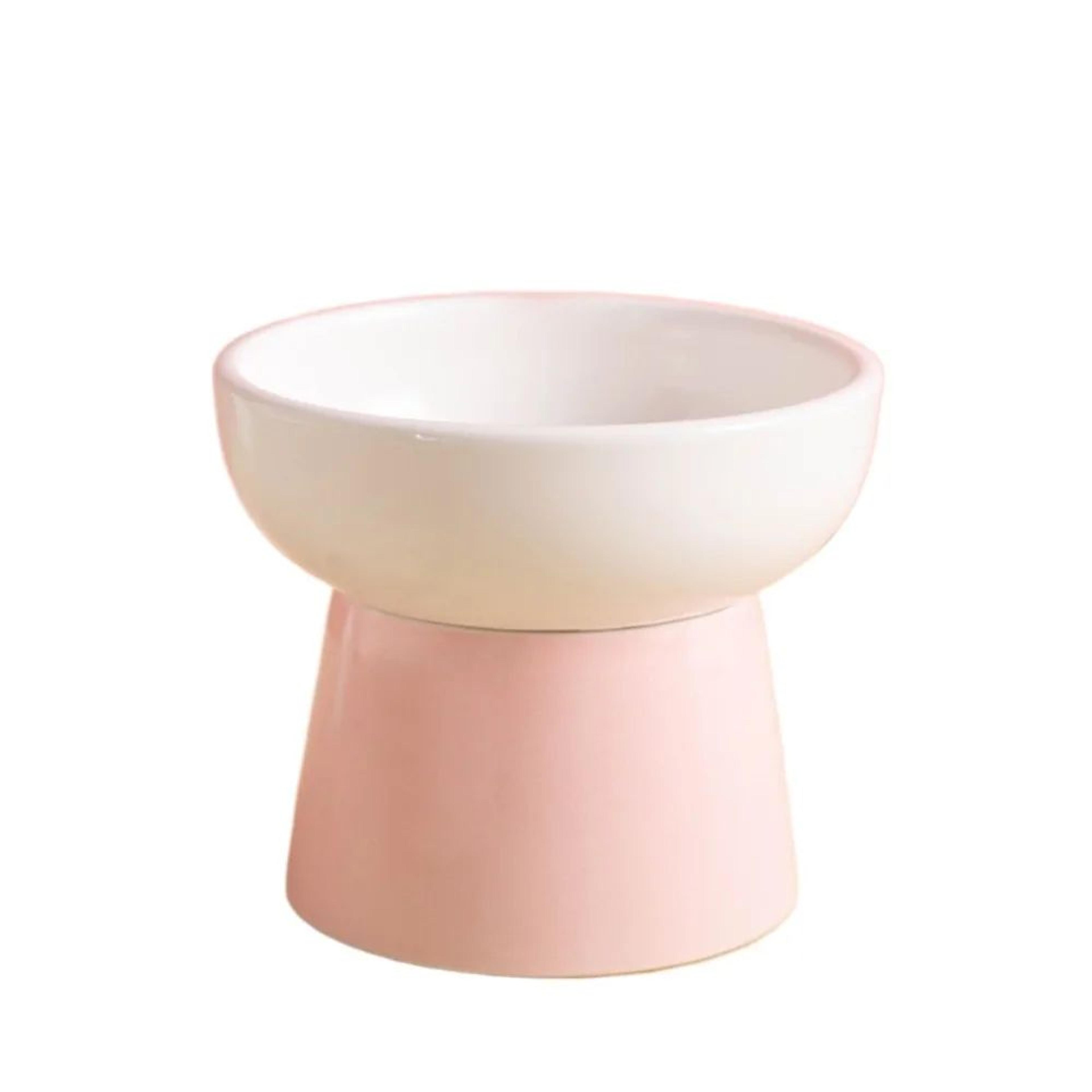 ElevaBowl Pet Feeder 11