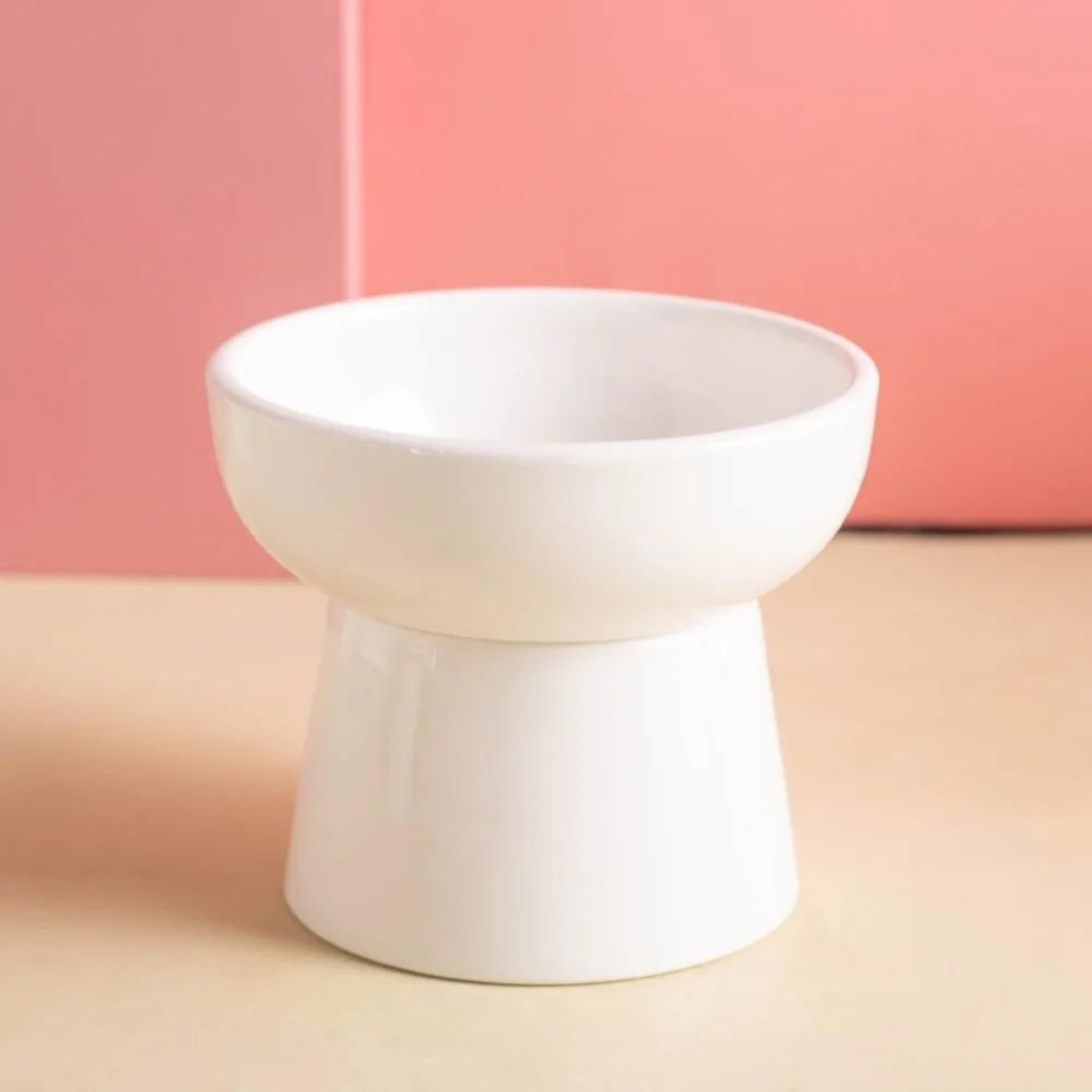 ElevaBowl Pet Feeder 1