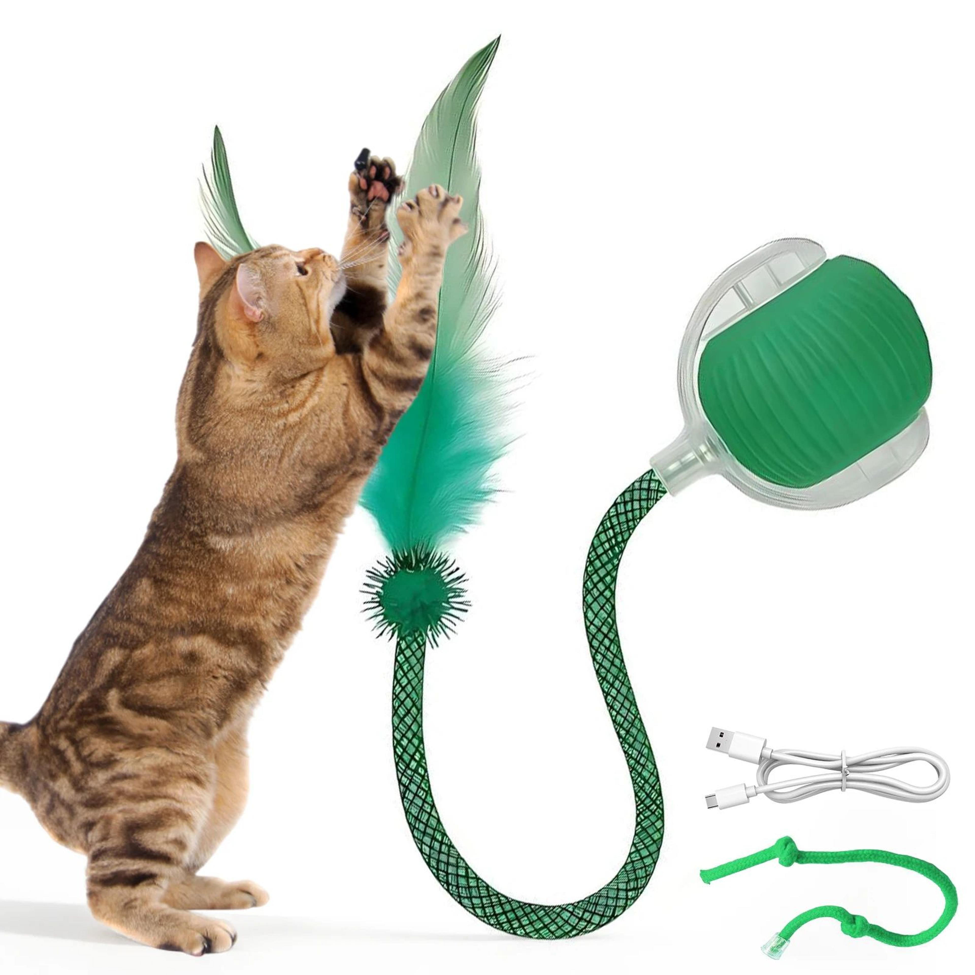 SpeedyTail Smart Cat Ball 6