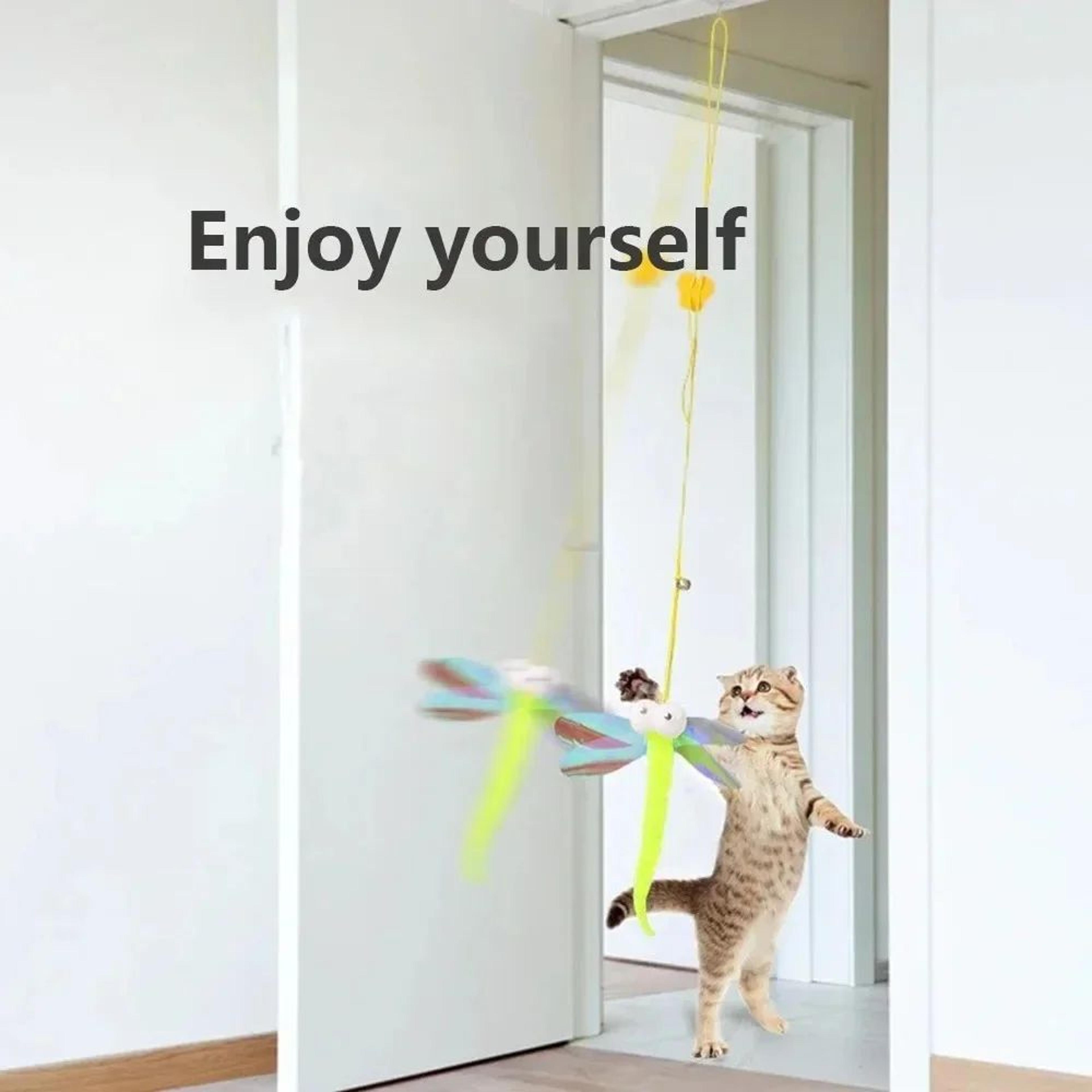 DoorBounce Feather Cat Toy 3