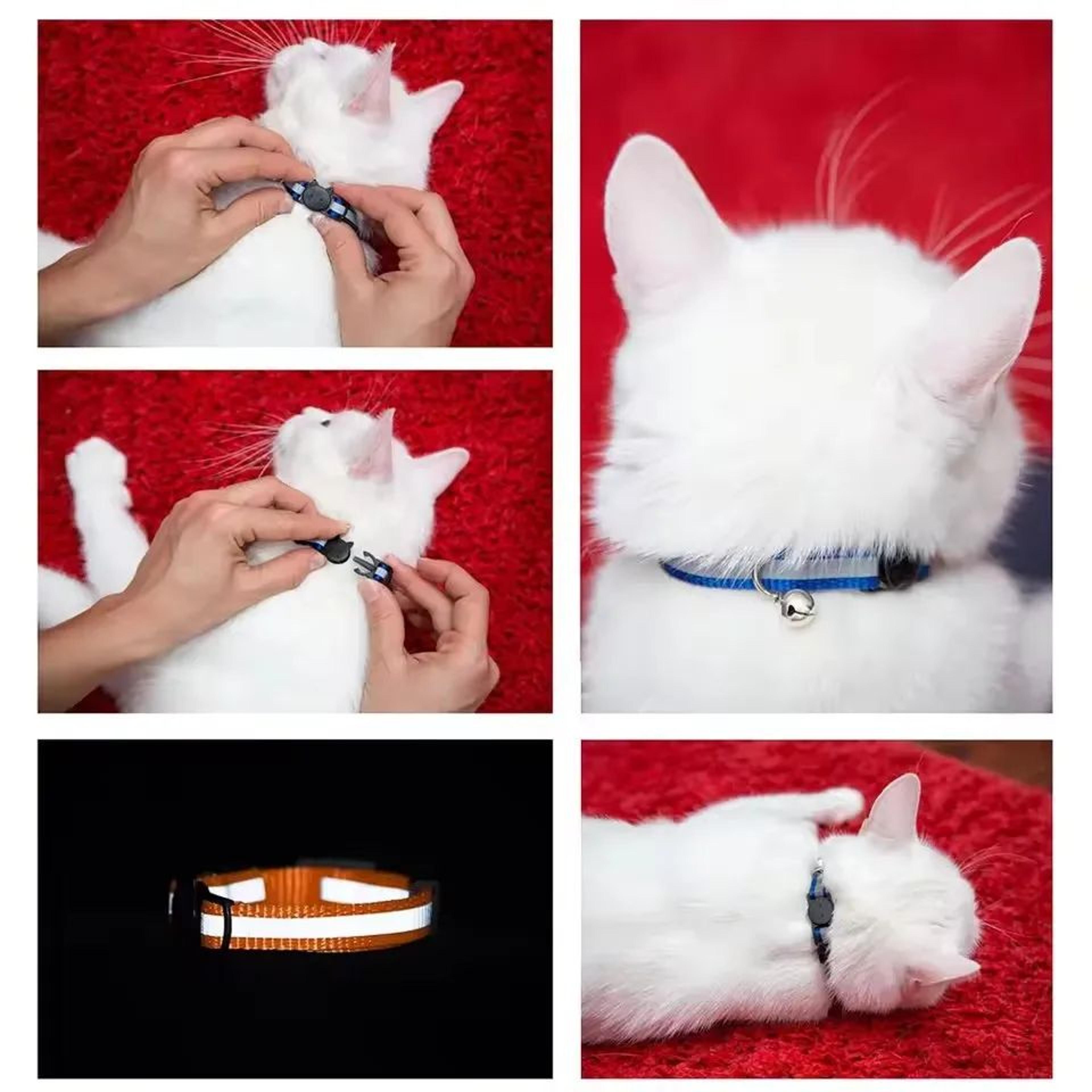 SafeGlow Reflective Breakaway Cat Collar With Bell 5