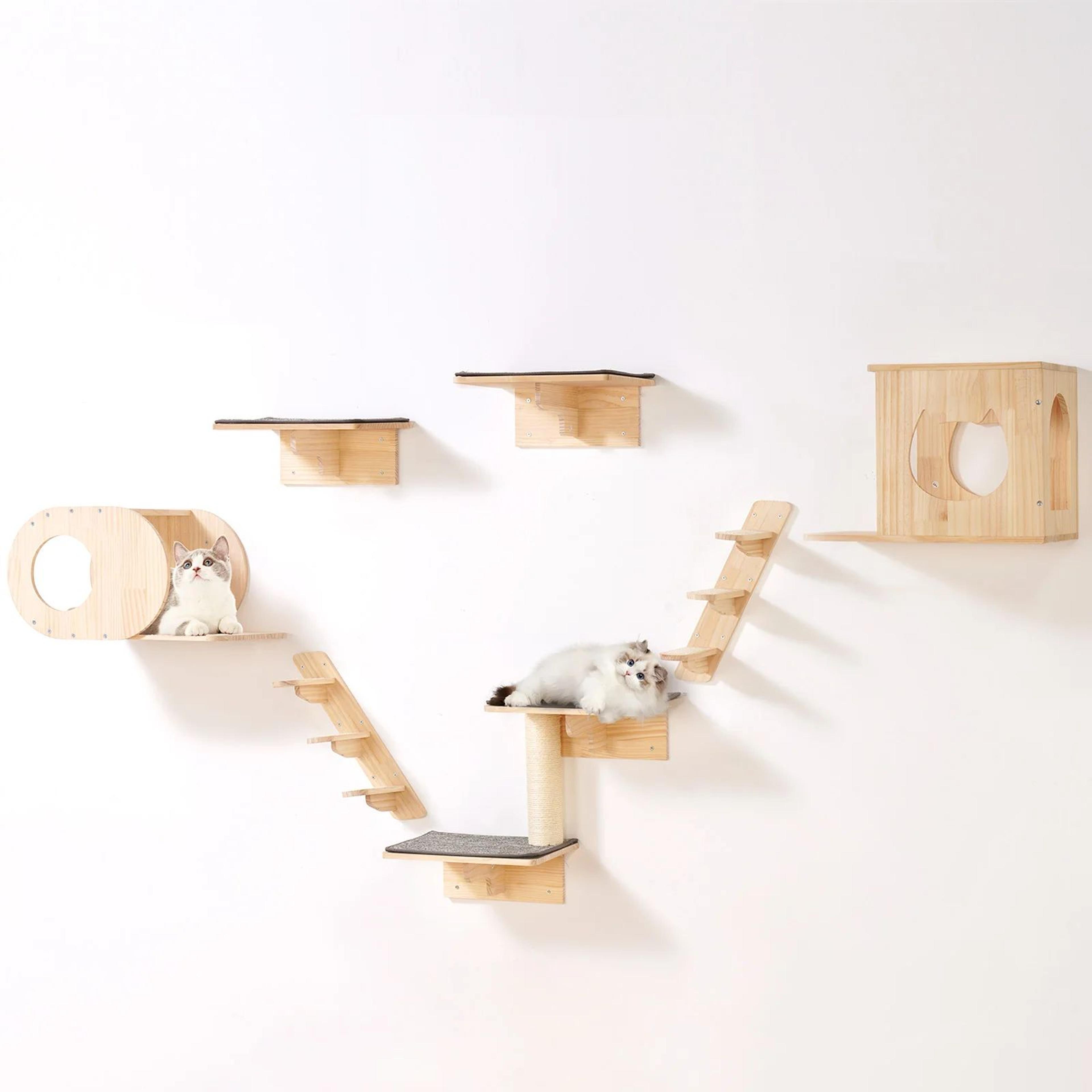 premium wall mounted cat shelves and climbing perch set