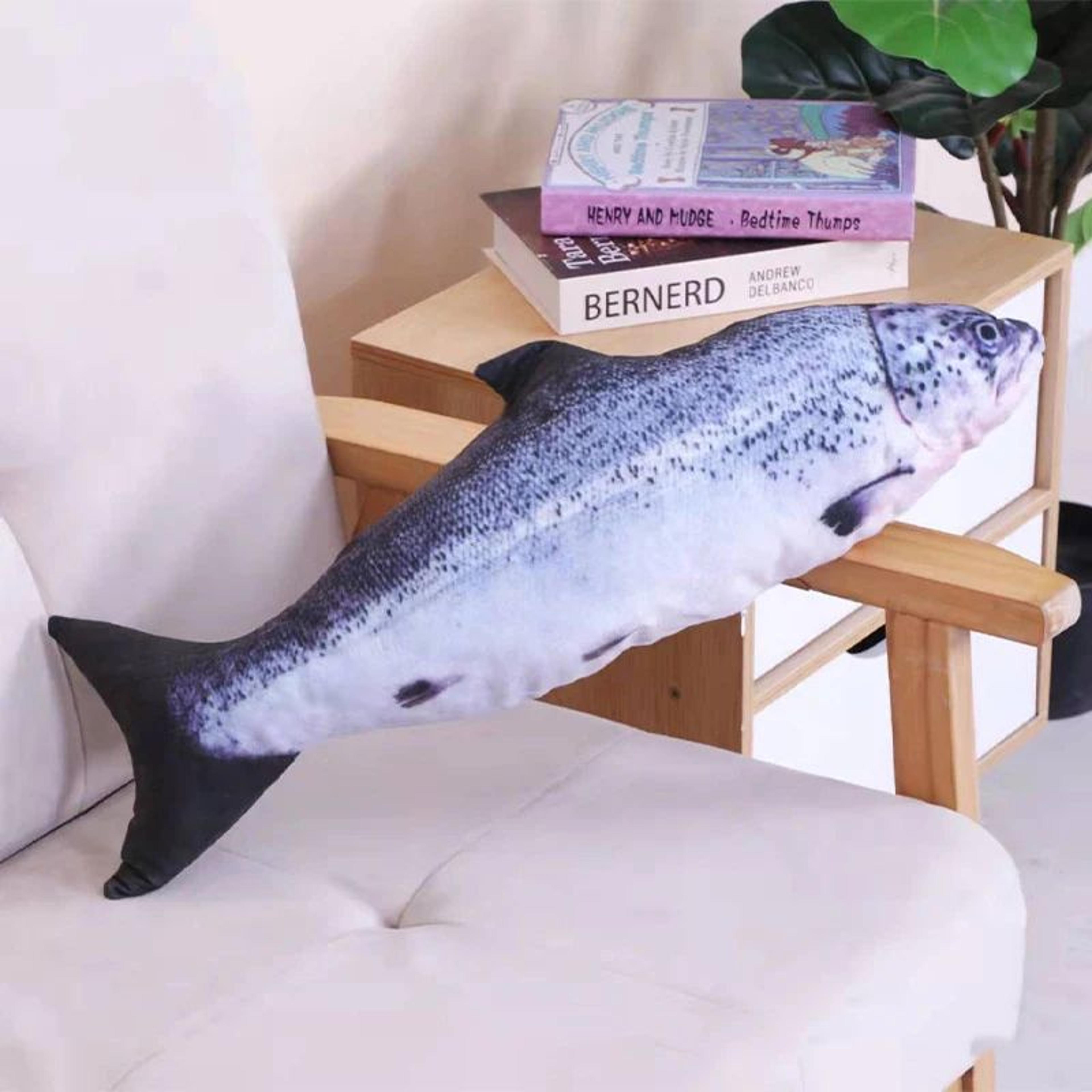 Realistic Catnip Fish Plush Toy For Cats 16
