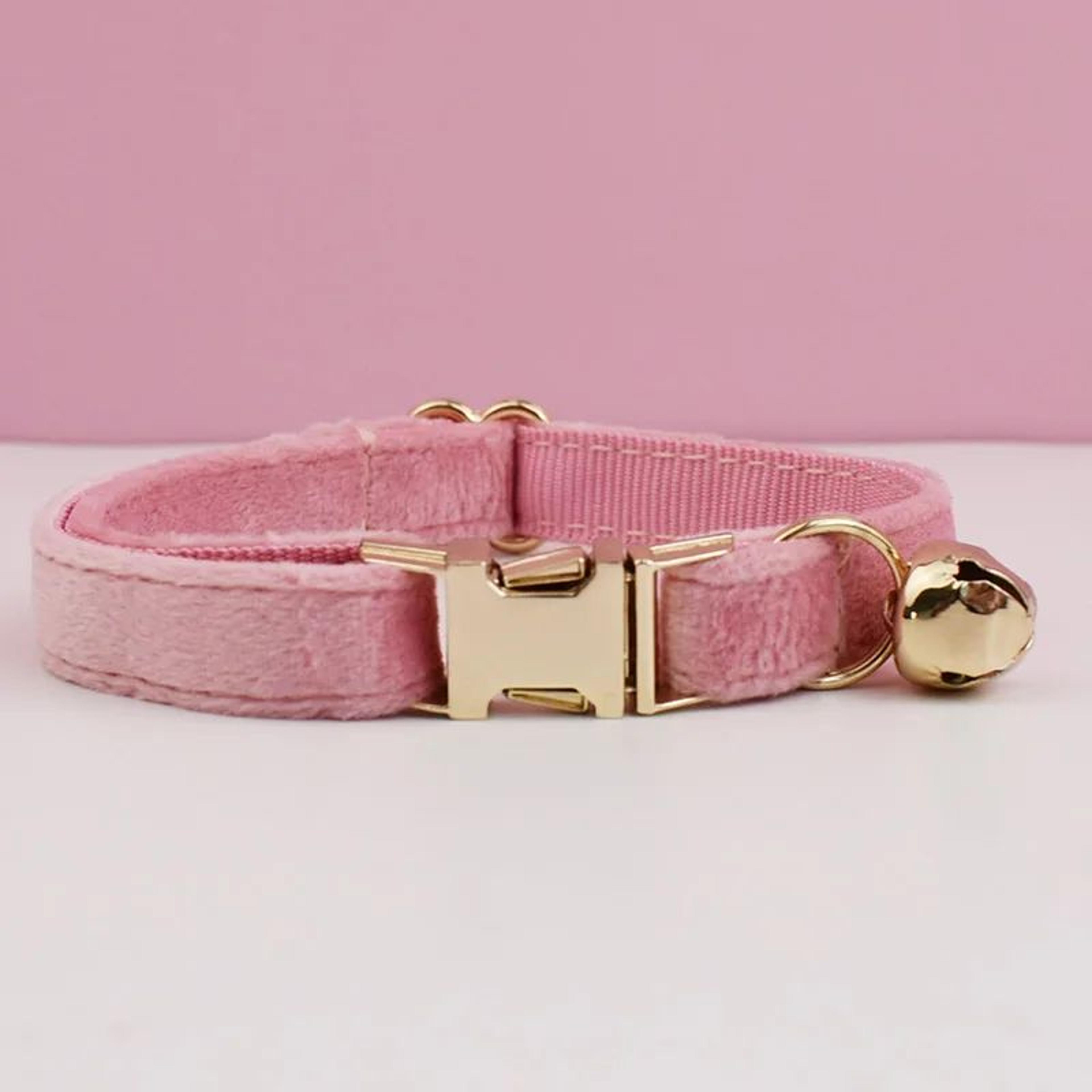 PawCharm Personalized Velvet Cat Collar With Name Plate And Bow Tie 13