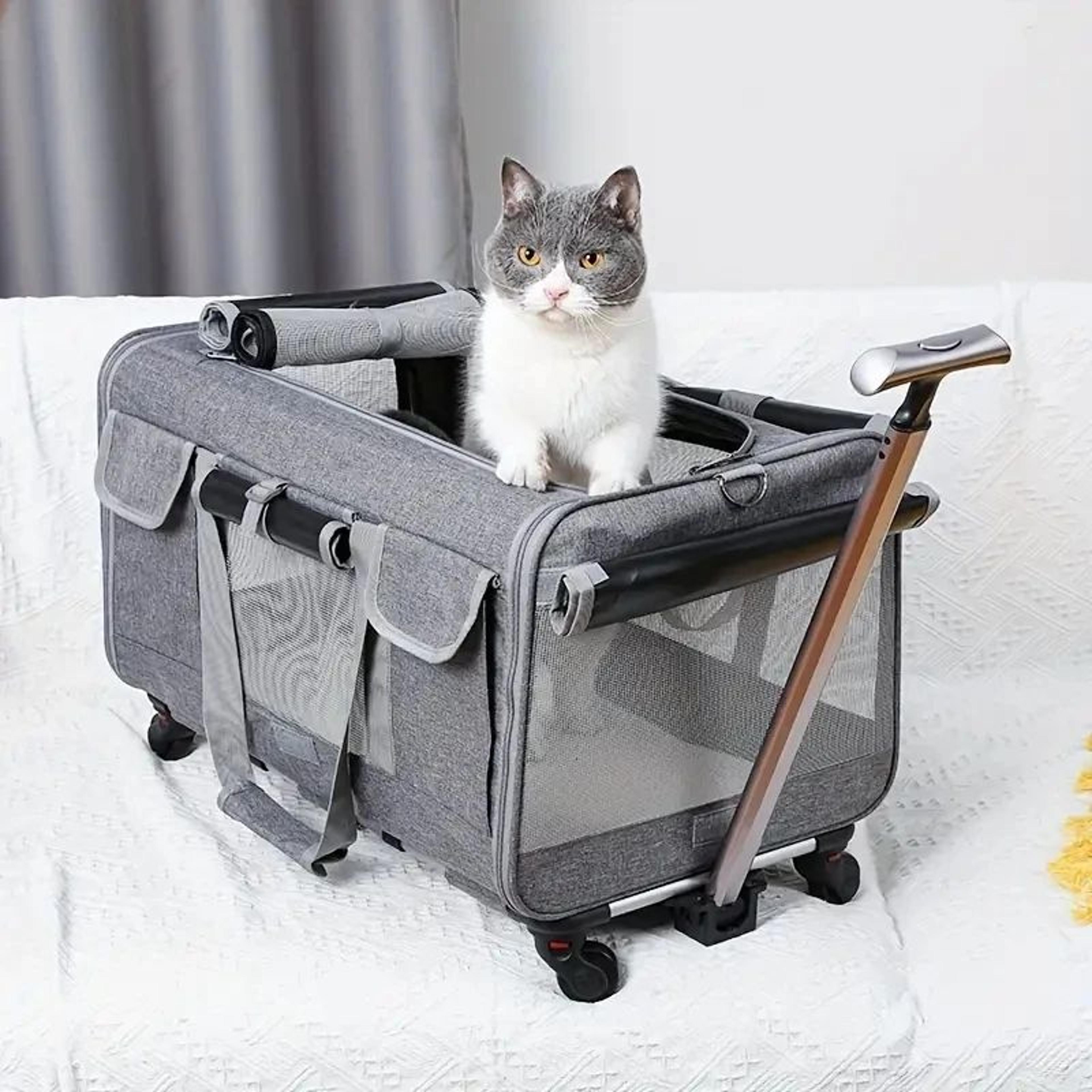 pet travel carrier with wheels xl foldable dog and cat trolley bag