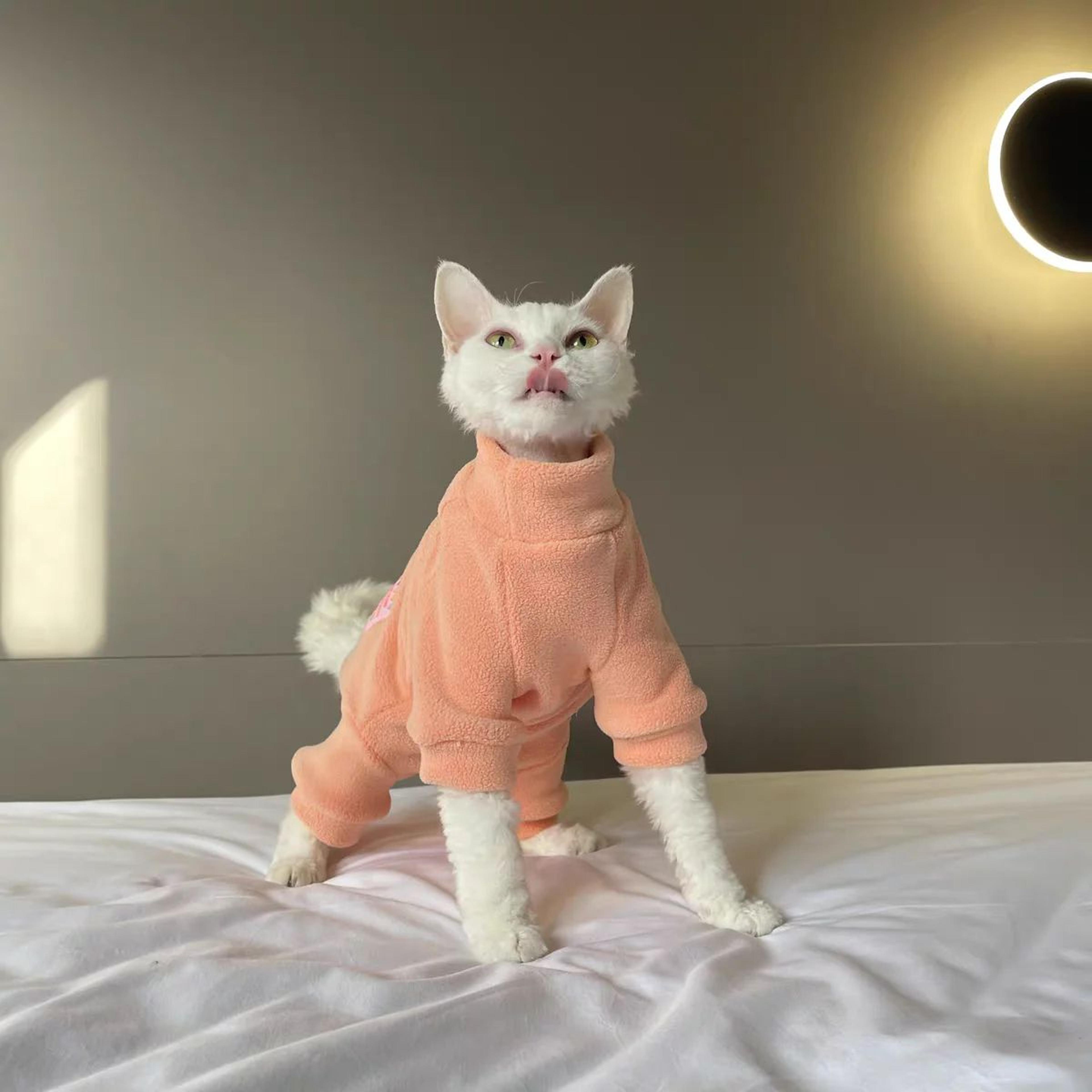 Warm Fleece Sphynx Cat Jumpsuit Full Body Cat Pajamas For Hairless Cats 11