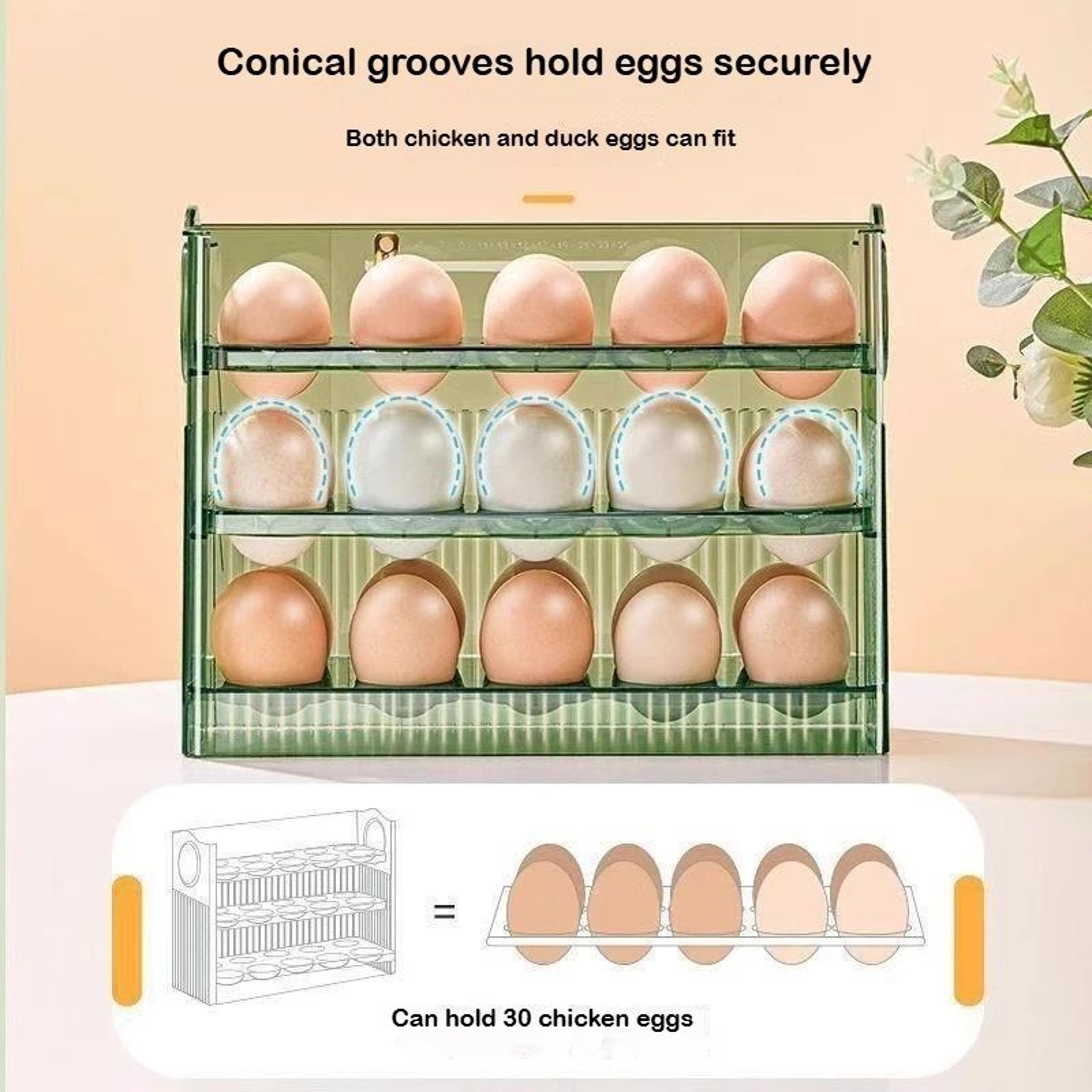 Automatic Rolling Egg Organizer For Refrigerator 1