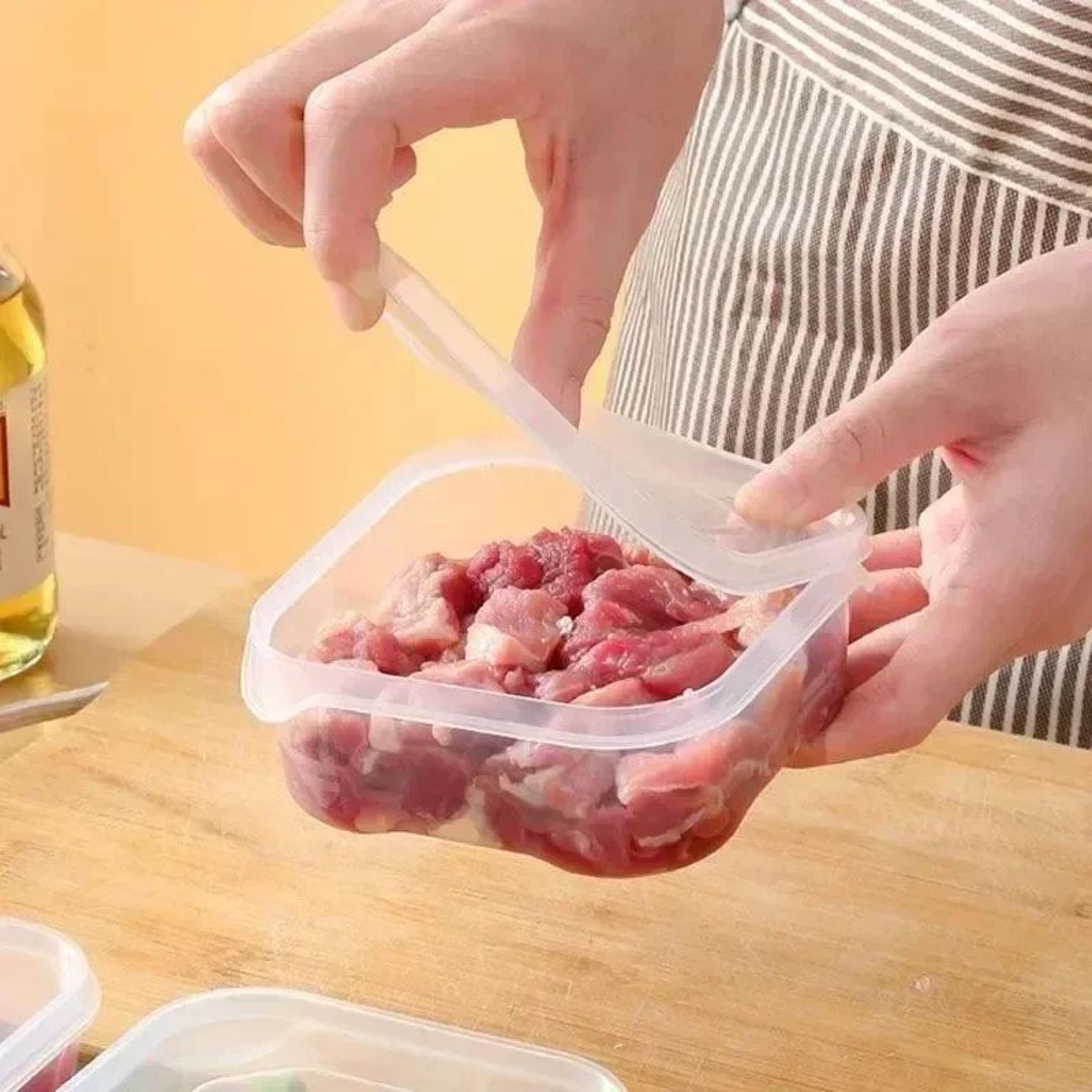 Compartment Frozen Food Storage Container 1