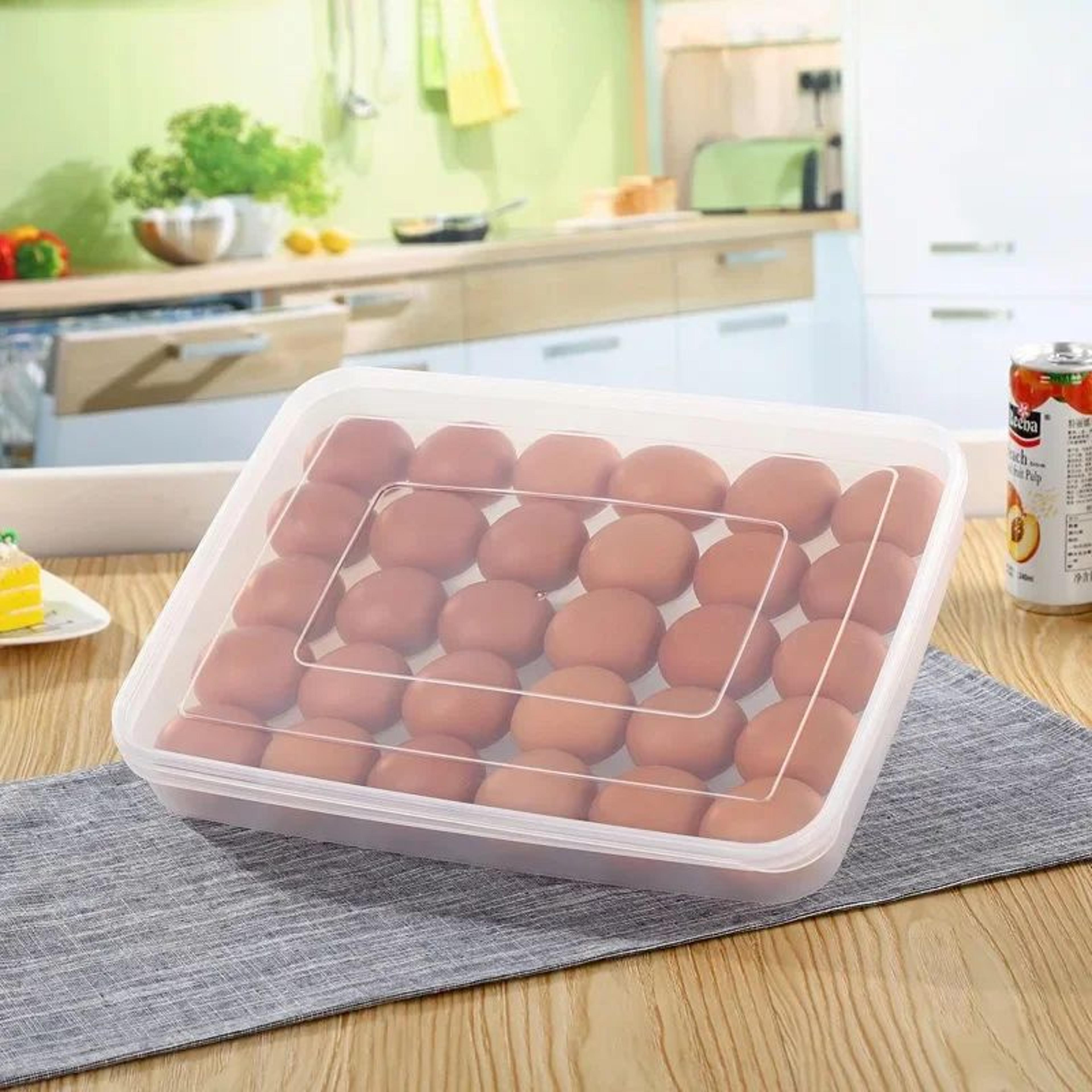 30 Grid Egg Storage Container 0