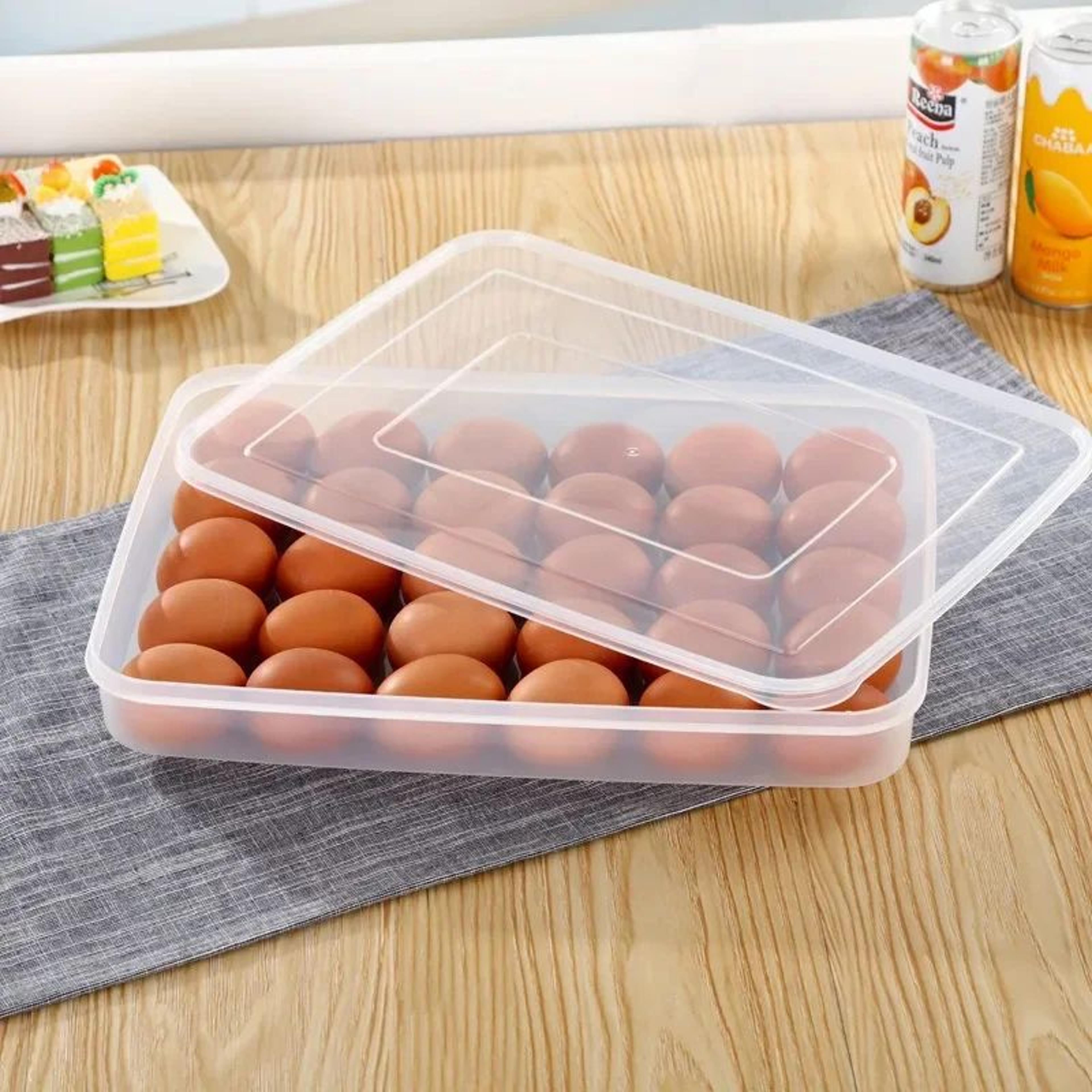 30 Grid Egg Storage Container 2