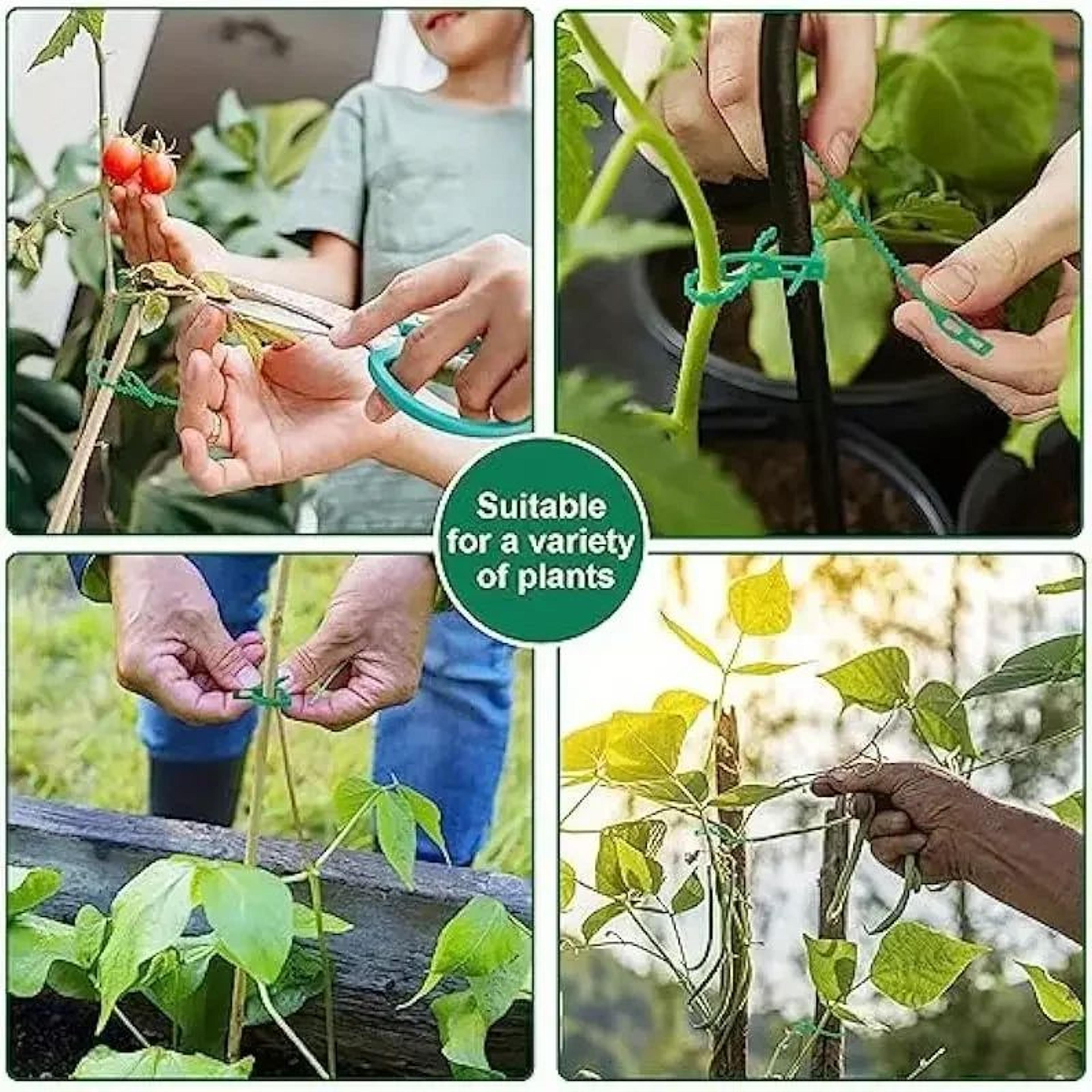 Reusable Garden Plant Ties Adjustable Nylon Cable Ties 5