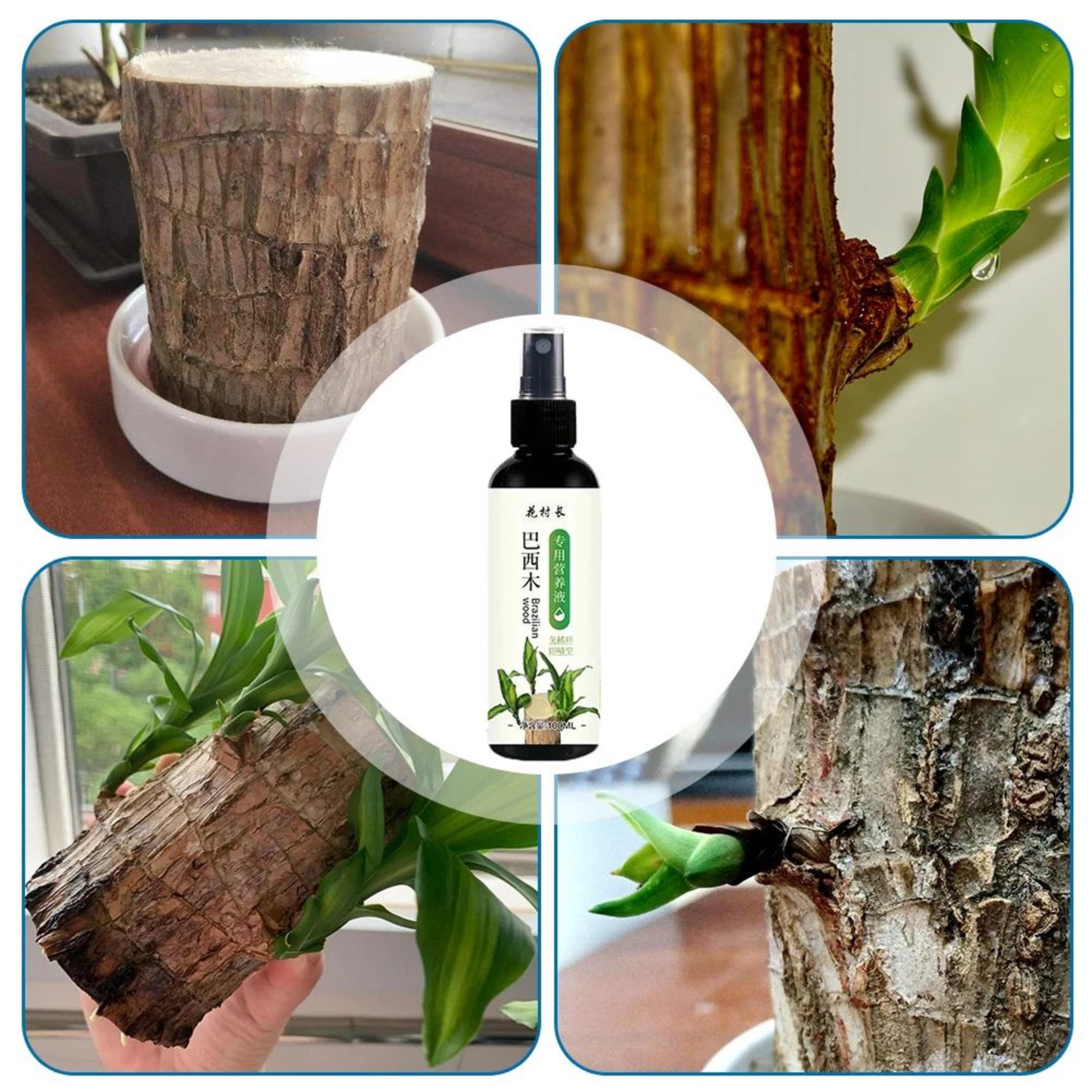100ml Liquid Plant Fertilizer For Indoor Plants Flowers And Hydroponic Gardening 3