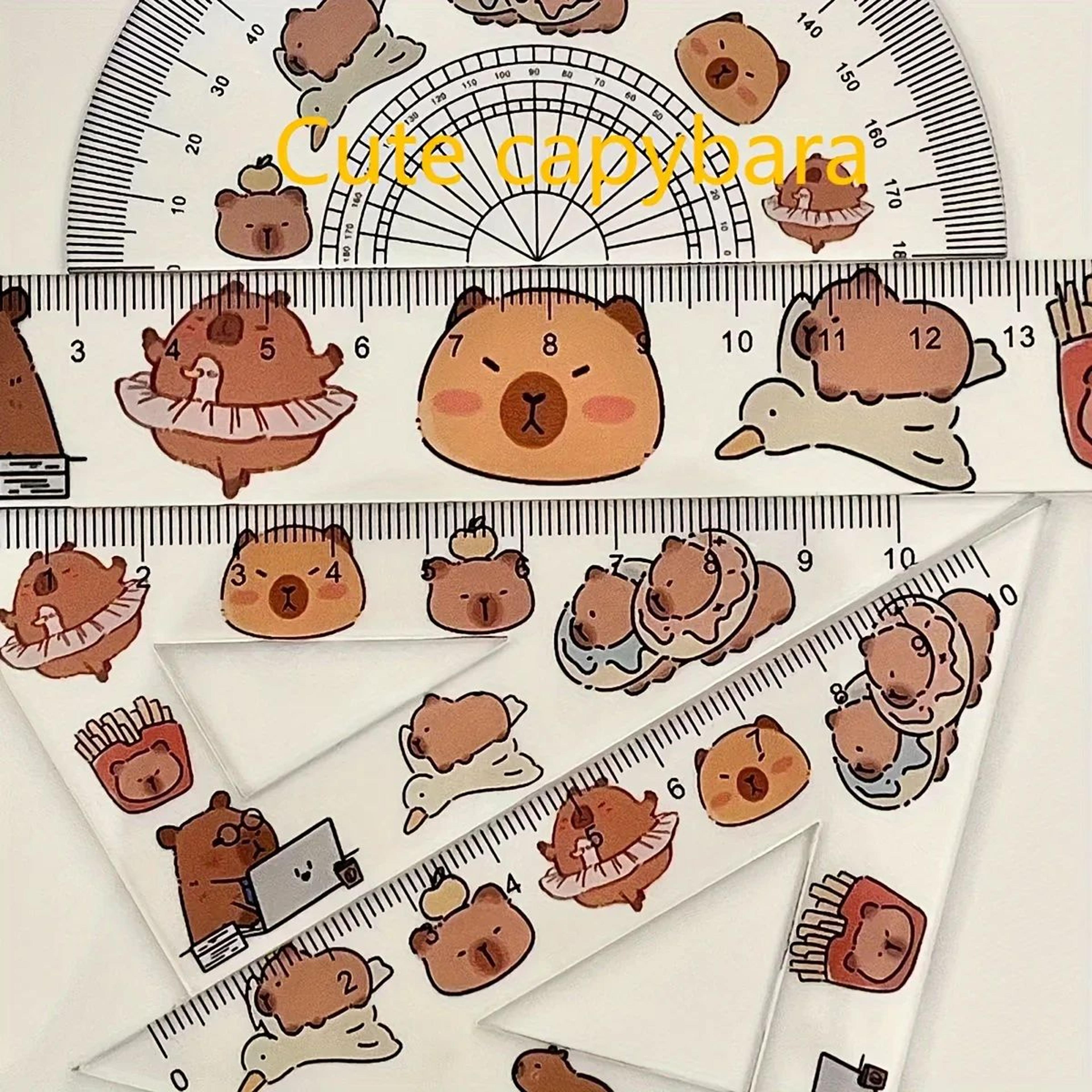 Capybara Geometry Ruler Set 2