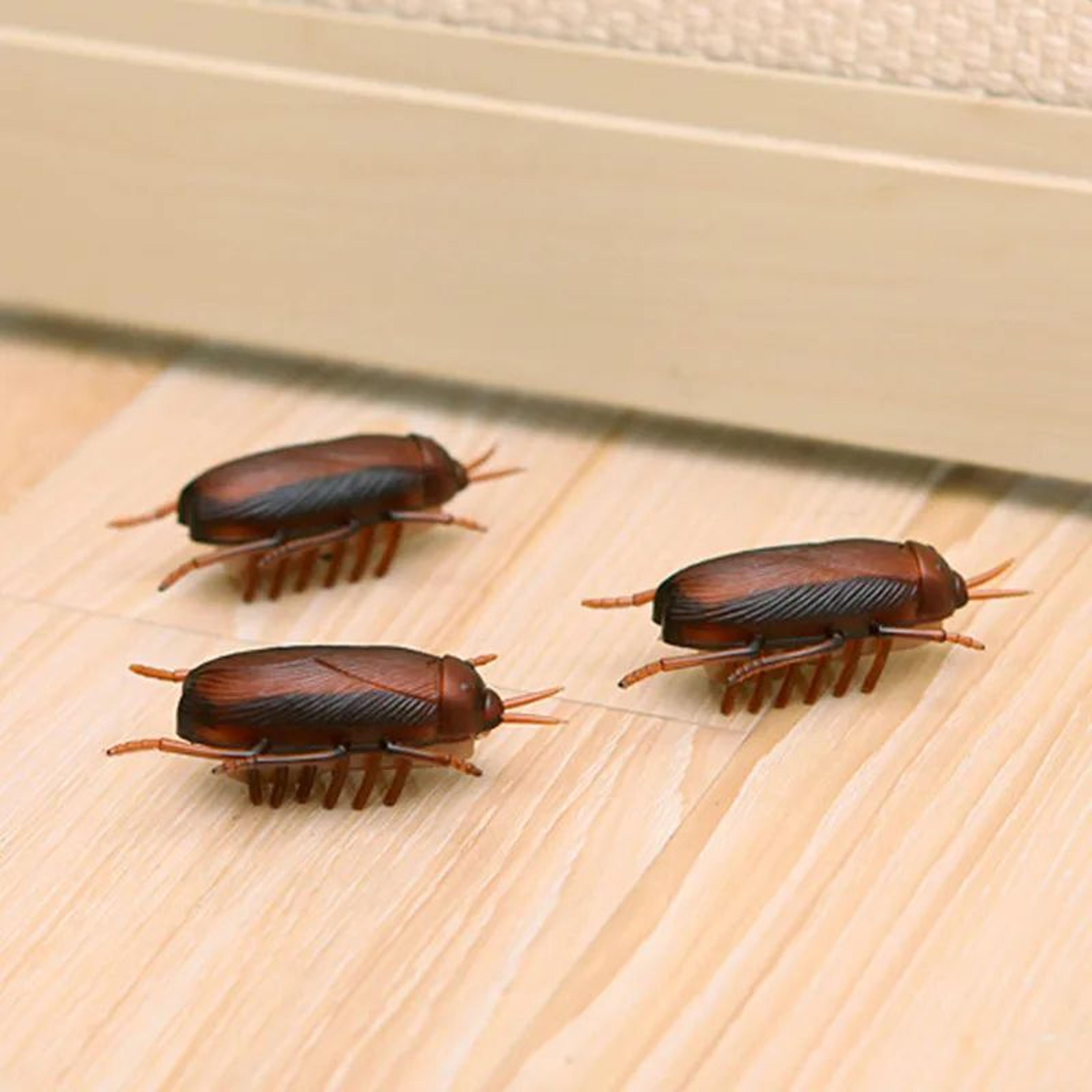 Electronic Running Cockroach Cat Toy Interactive Battery Powered Pet Chase Toy 4