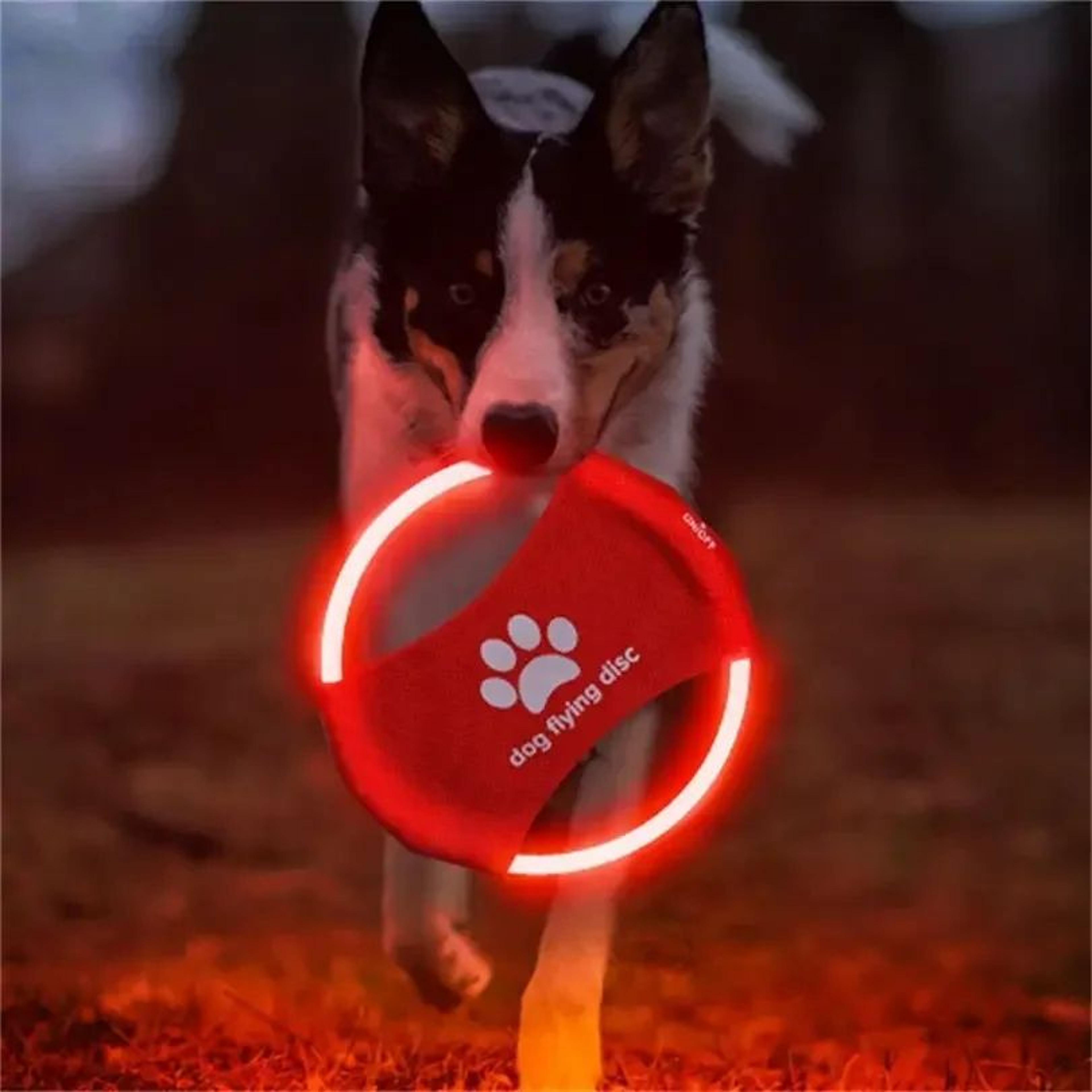 Rechargeable LED Flying Disc Dog Toy Interactive Light Up Fetch Training Disc 0