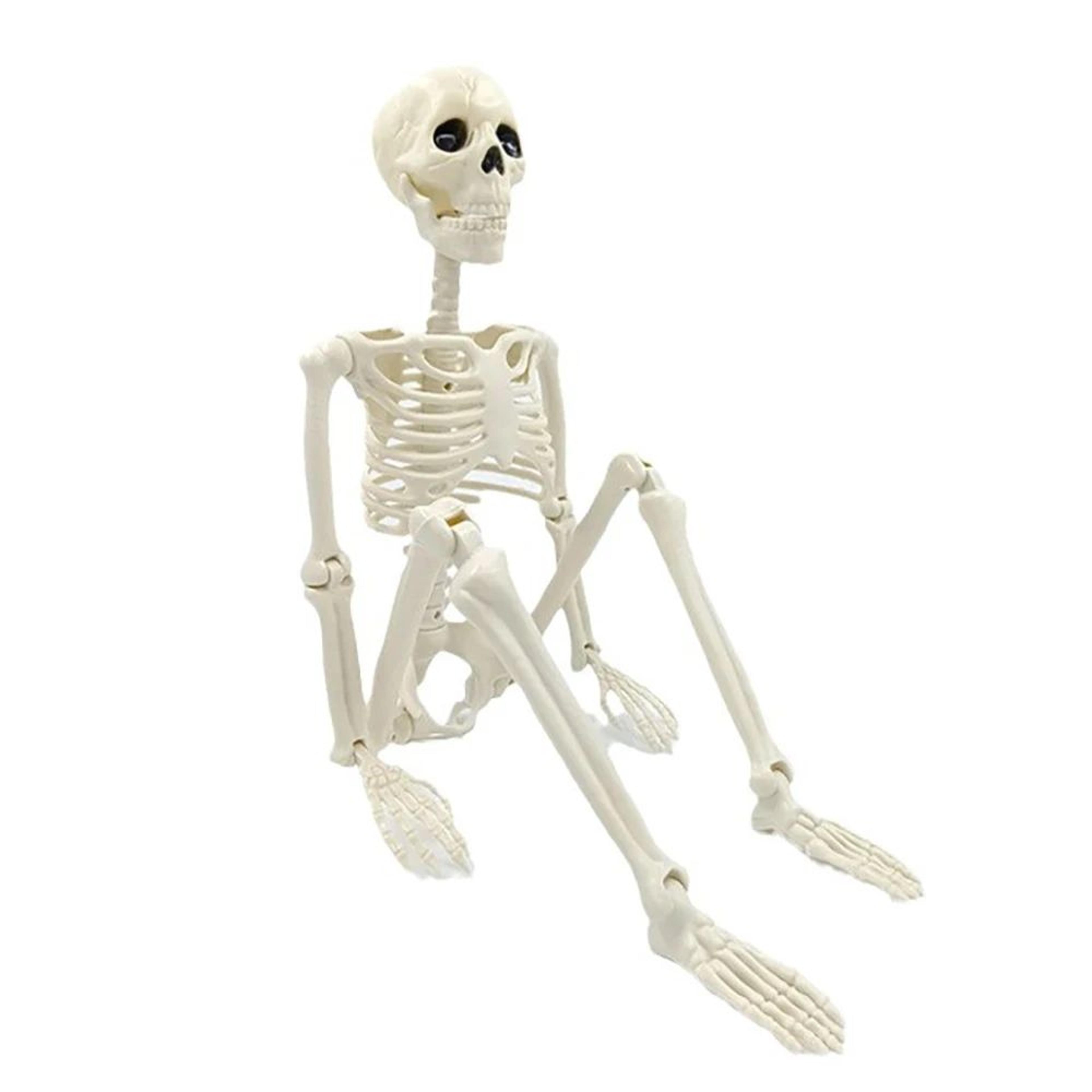 Posable Human Skeleton Halloween Decoration 0