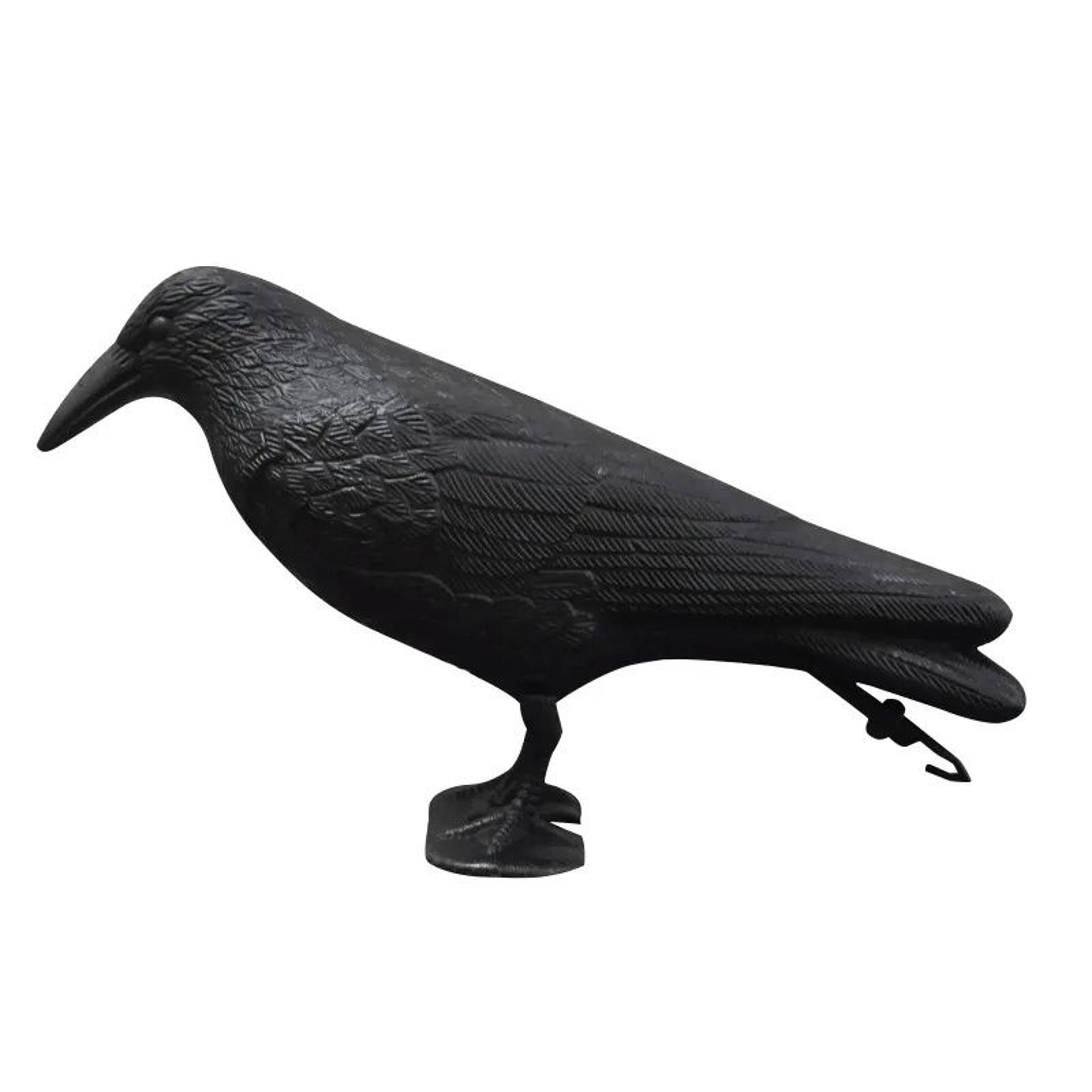 Realistic Black Raven Bird Decoy 1