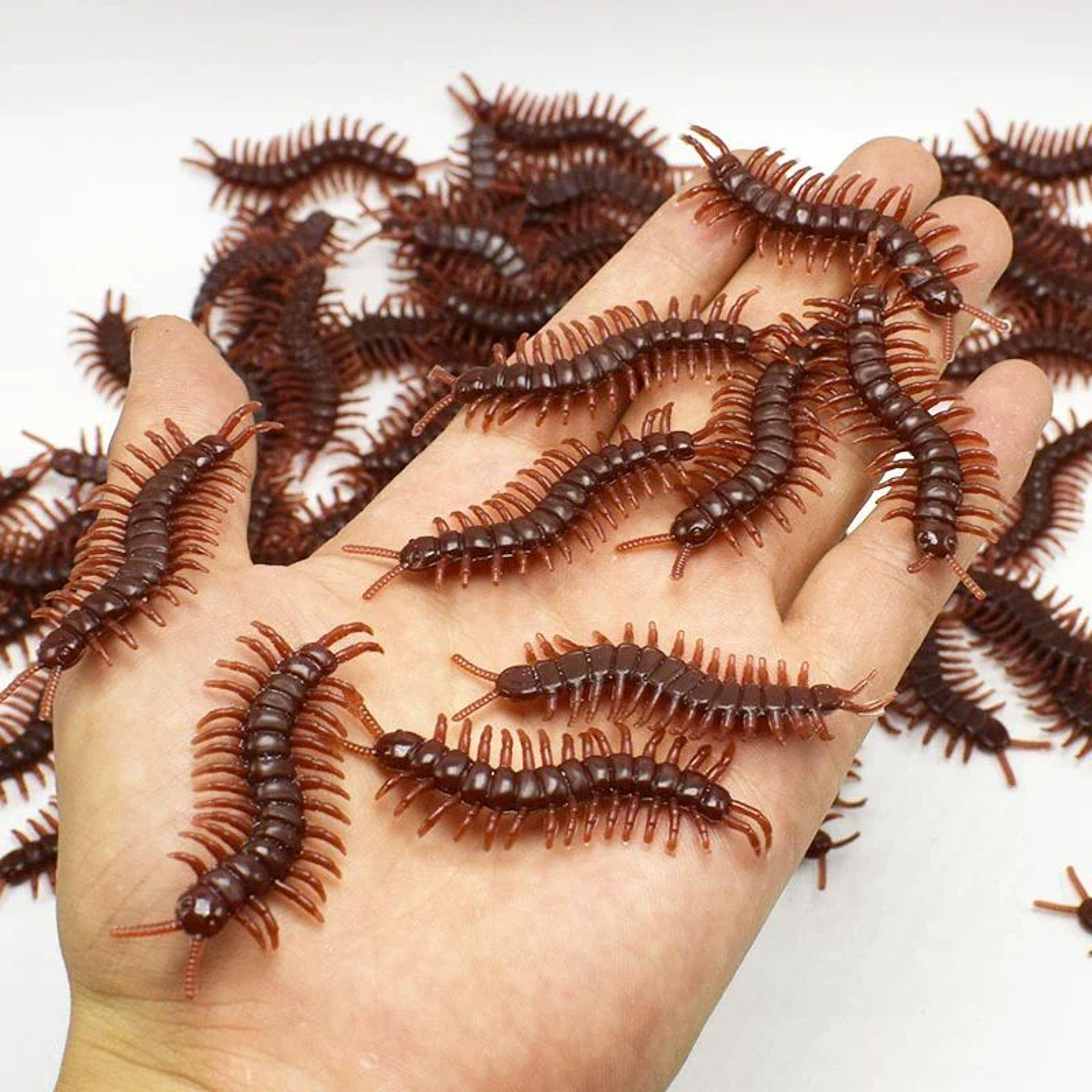 Realistic Fake Bugs Halloween Prank Set 7