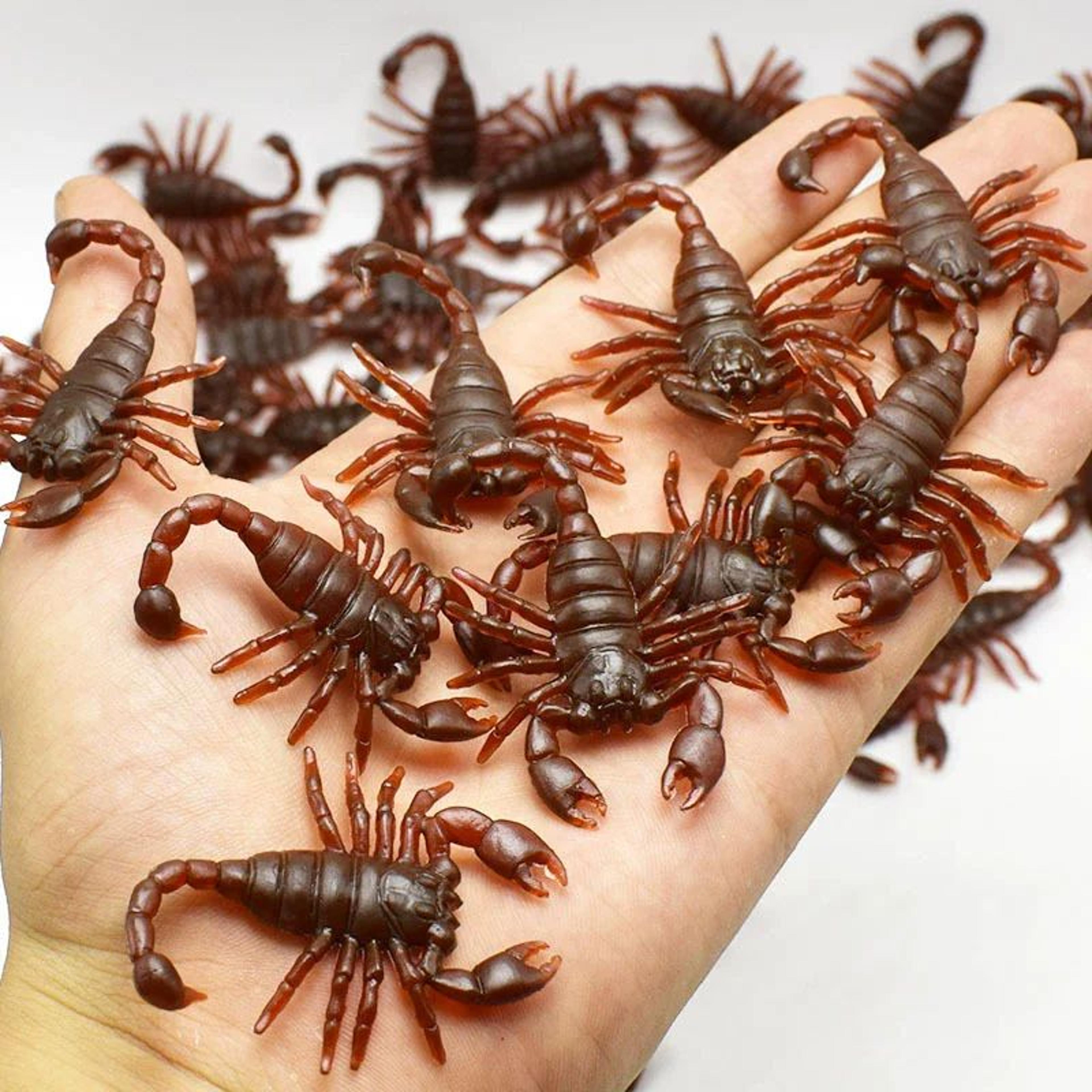 Realistic Fake Bugs Halloween Prank Set 8