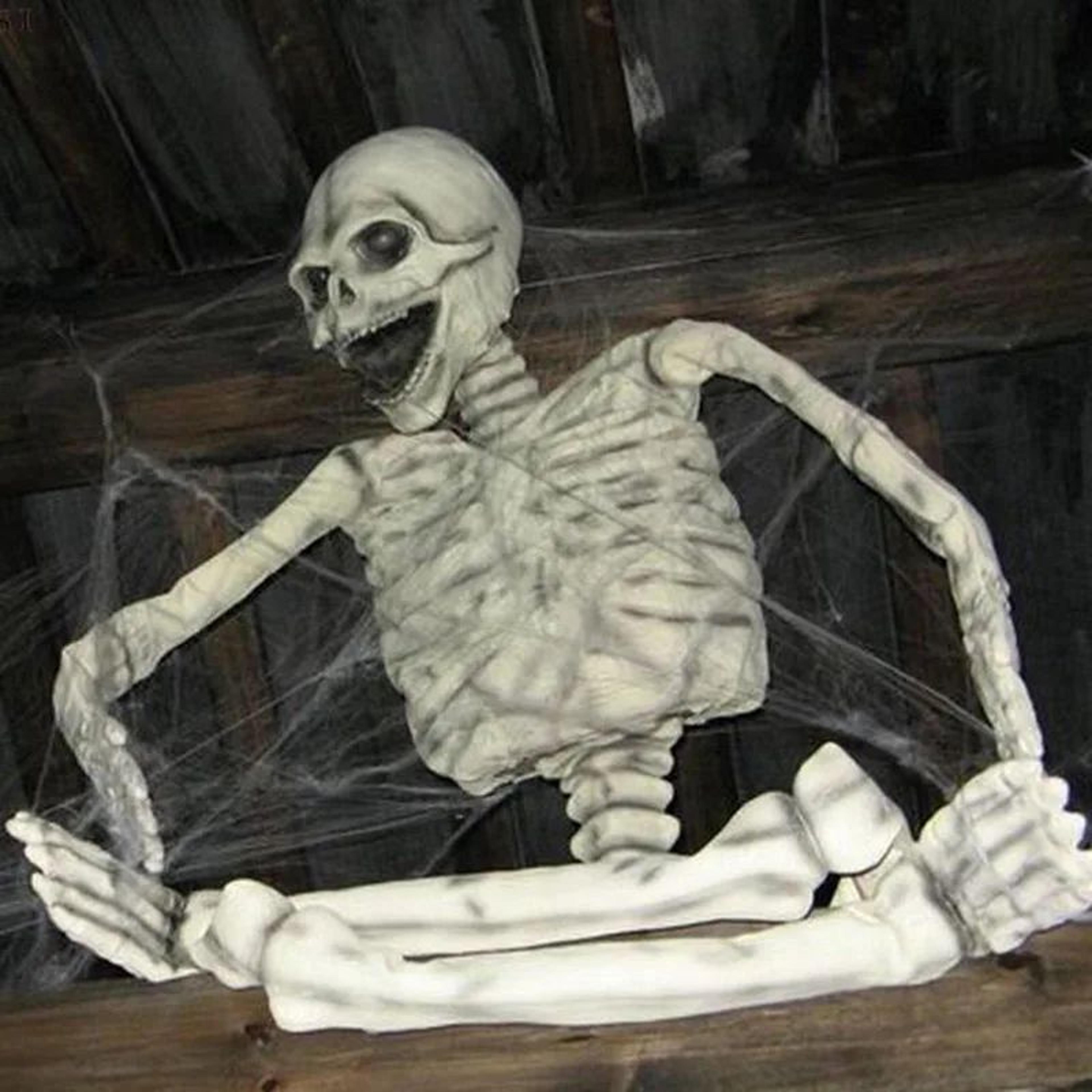 Haunted House White Spider Web Decor 0