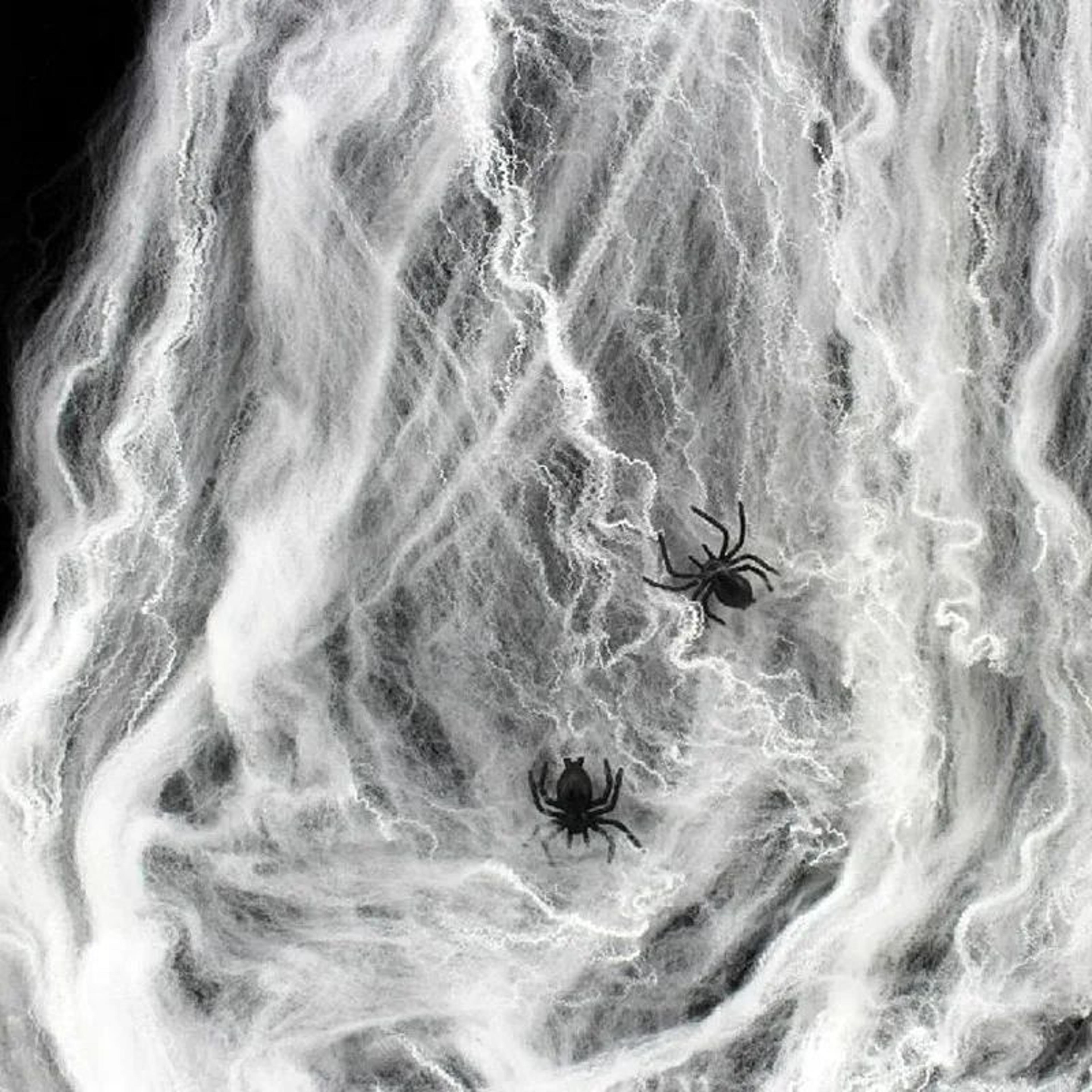 Stretchy Halloween Spider Web Decoration 0