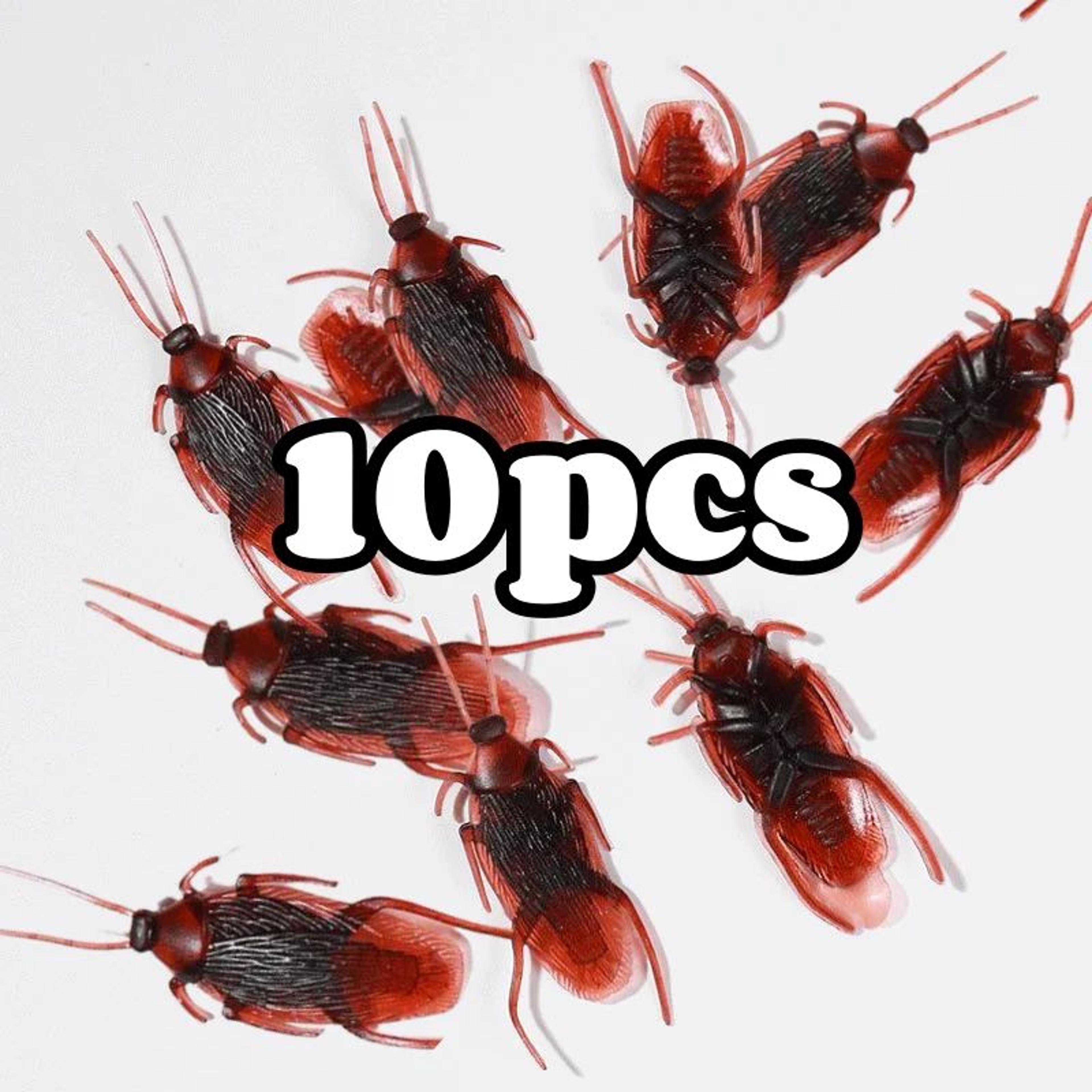 Realistic Fake Cockroach Prank Set 13
