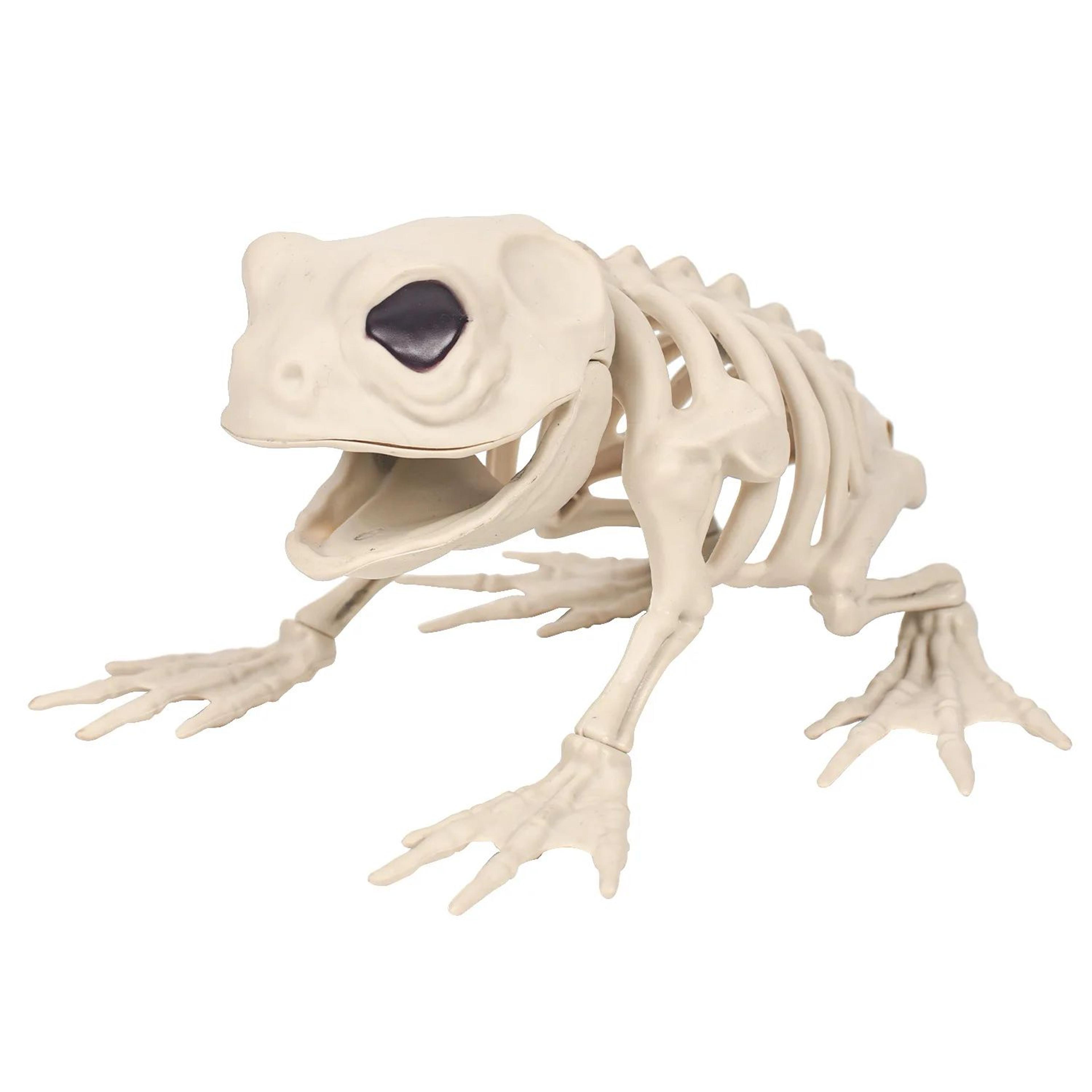 Halloween Animal Skeleton Decoration 7